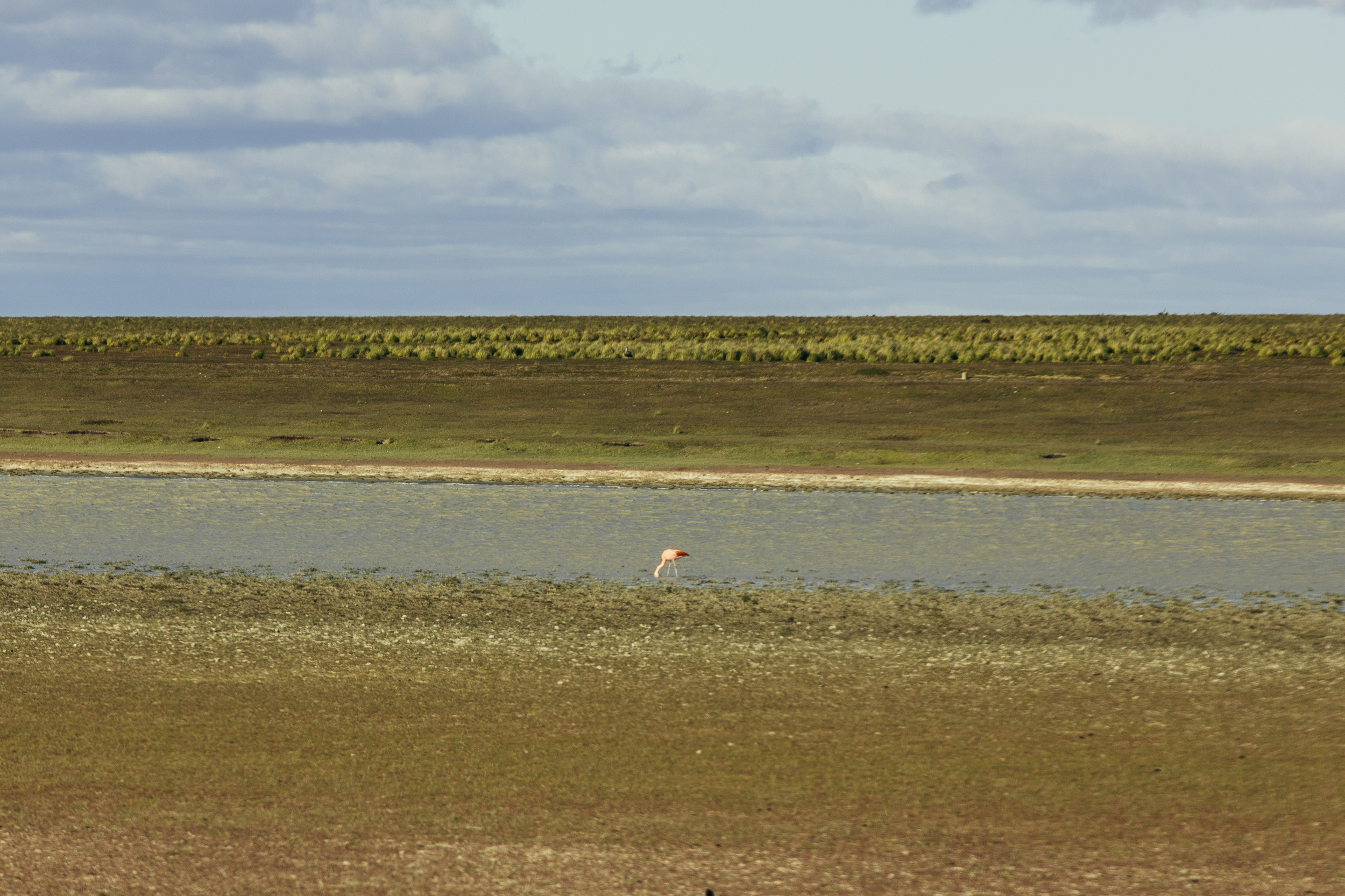 chile-20141A9C0209.jpg