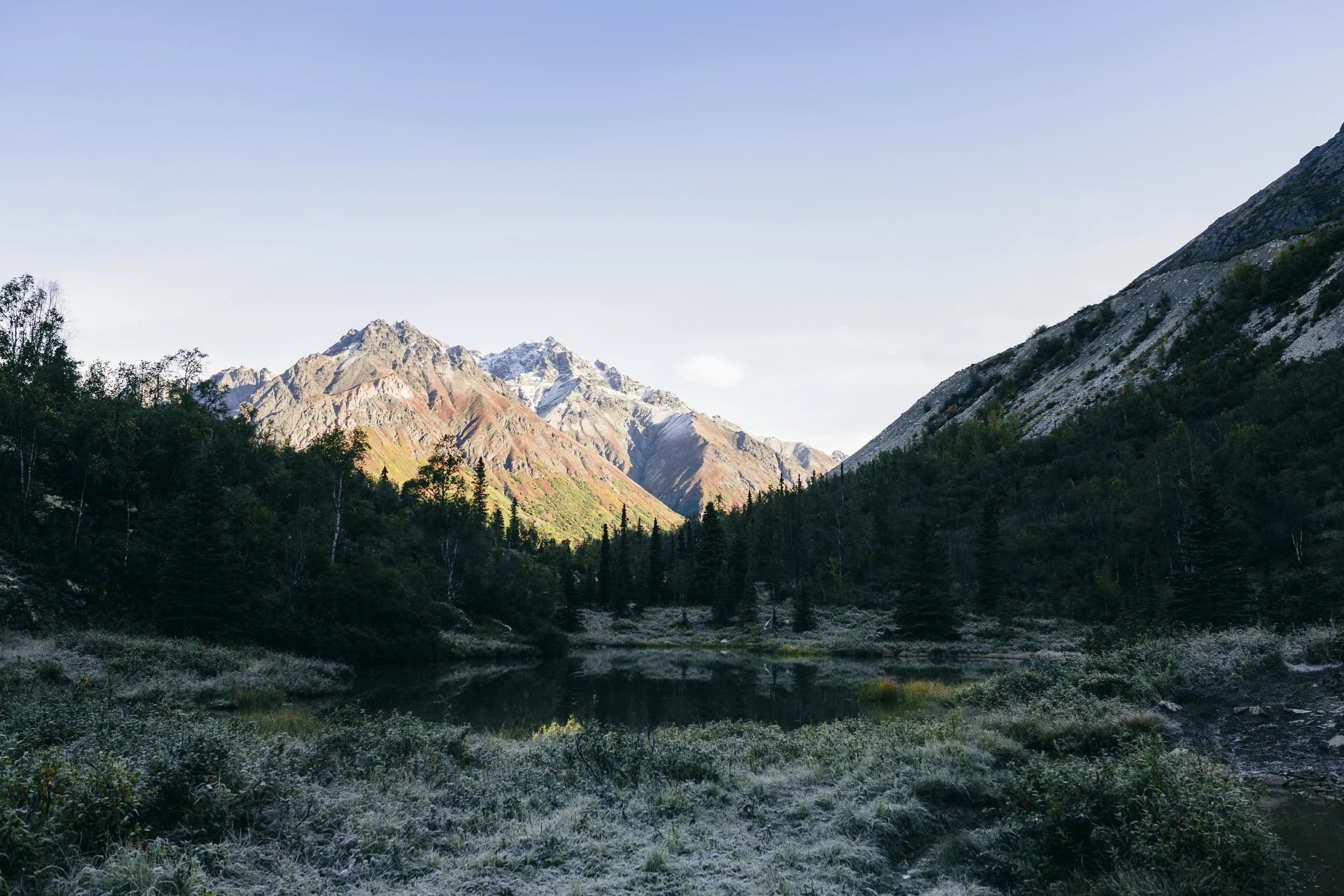 moosehunt_7.jpg