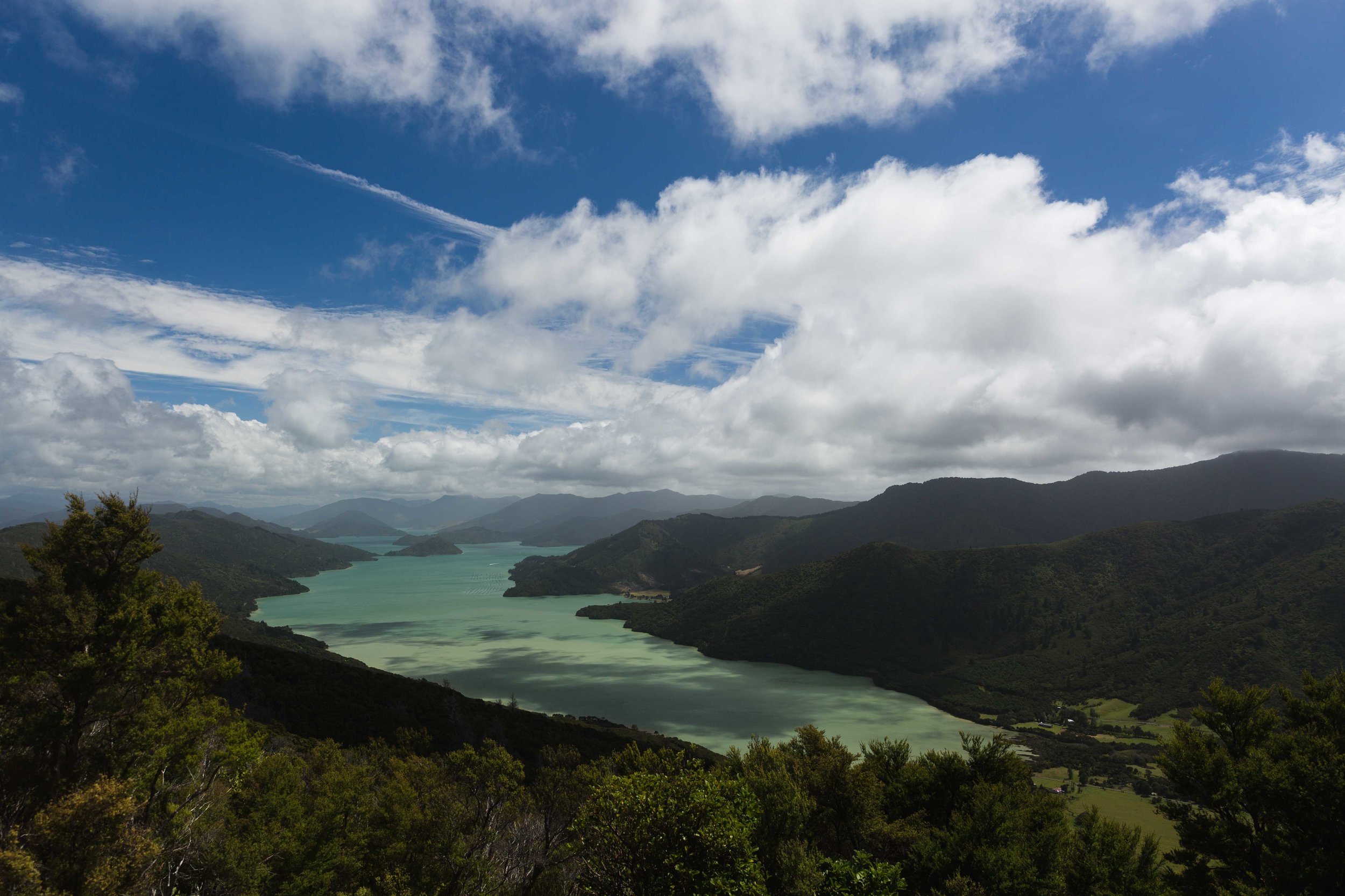 NewZealand_QC-1467.jpg