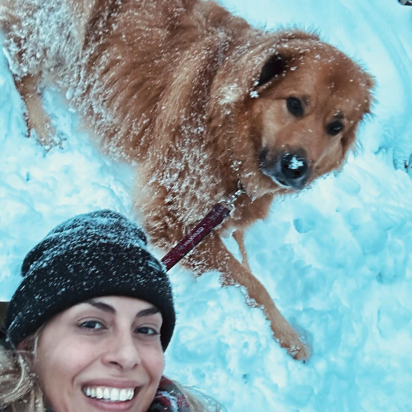 I ❤️ snow days with Grizzly! 🐾🐾