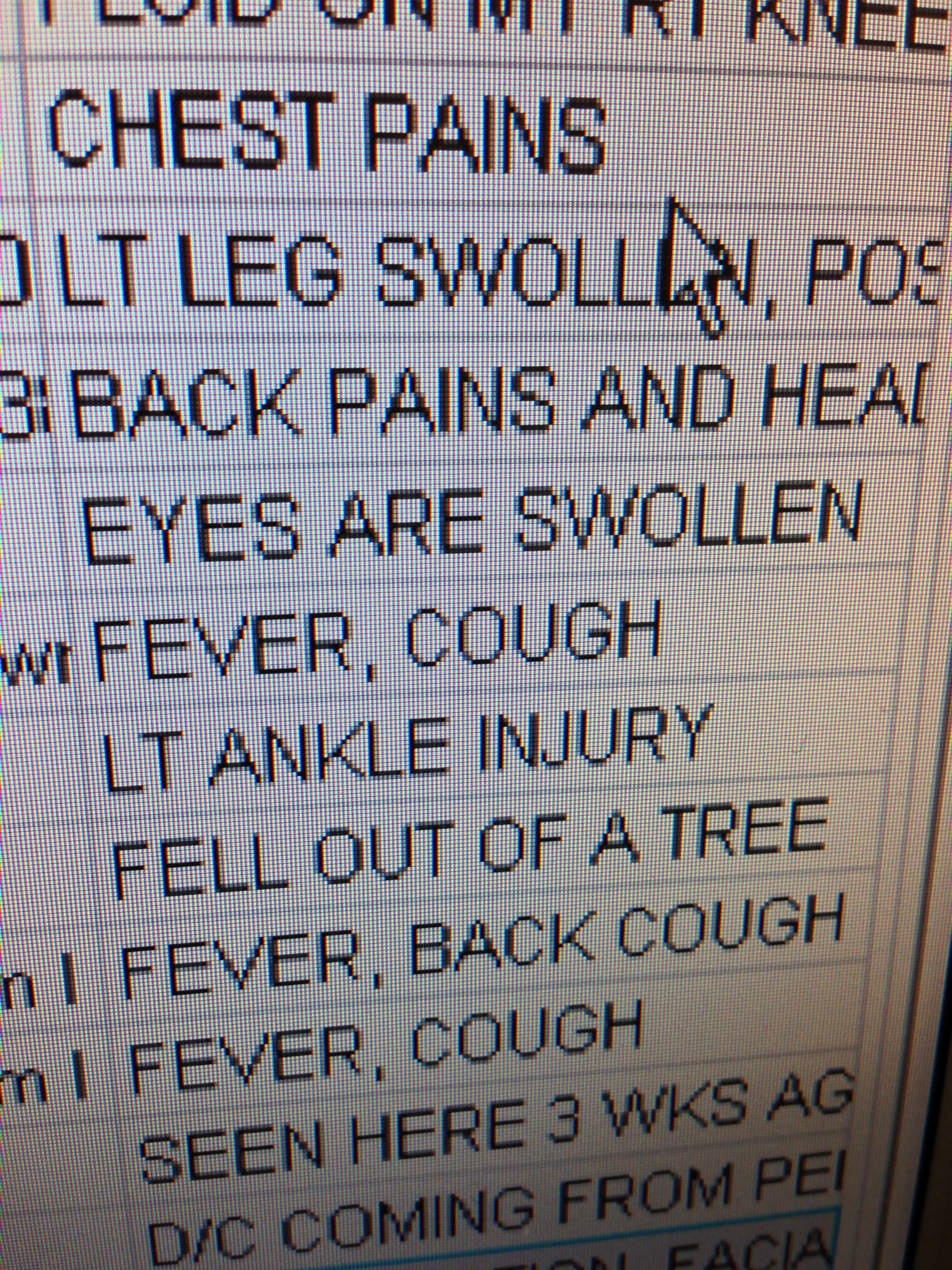 Grown men should not climb trees.