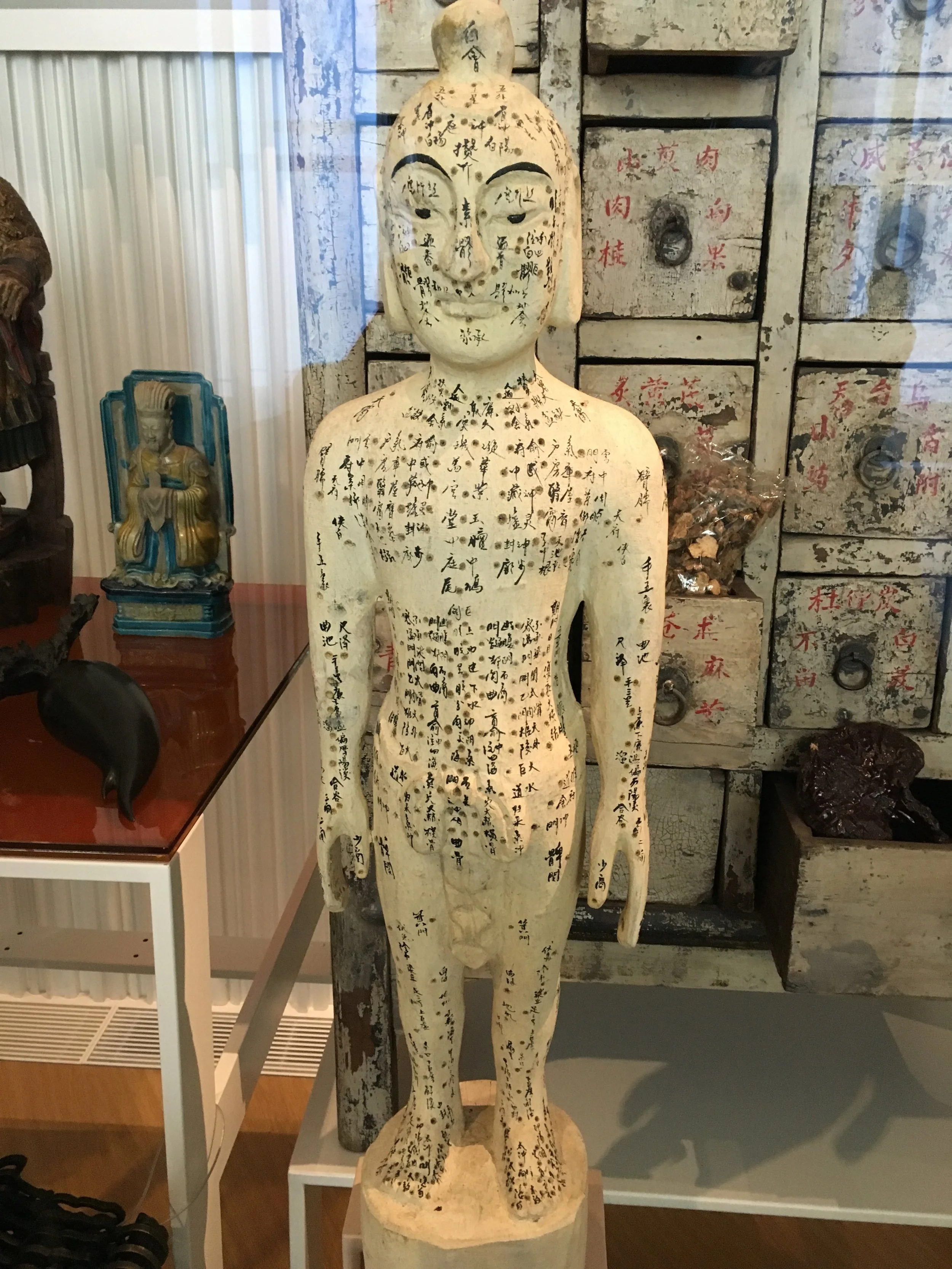 A 20th century mannequin showing acupuncture points. From Hebei Province, collected at the Musée de l'homme in Paris. 