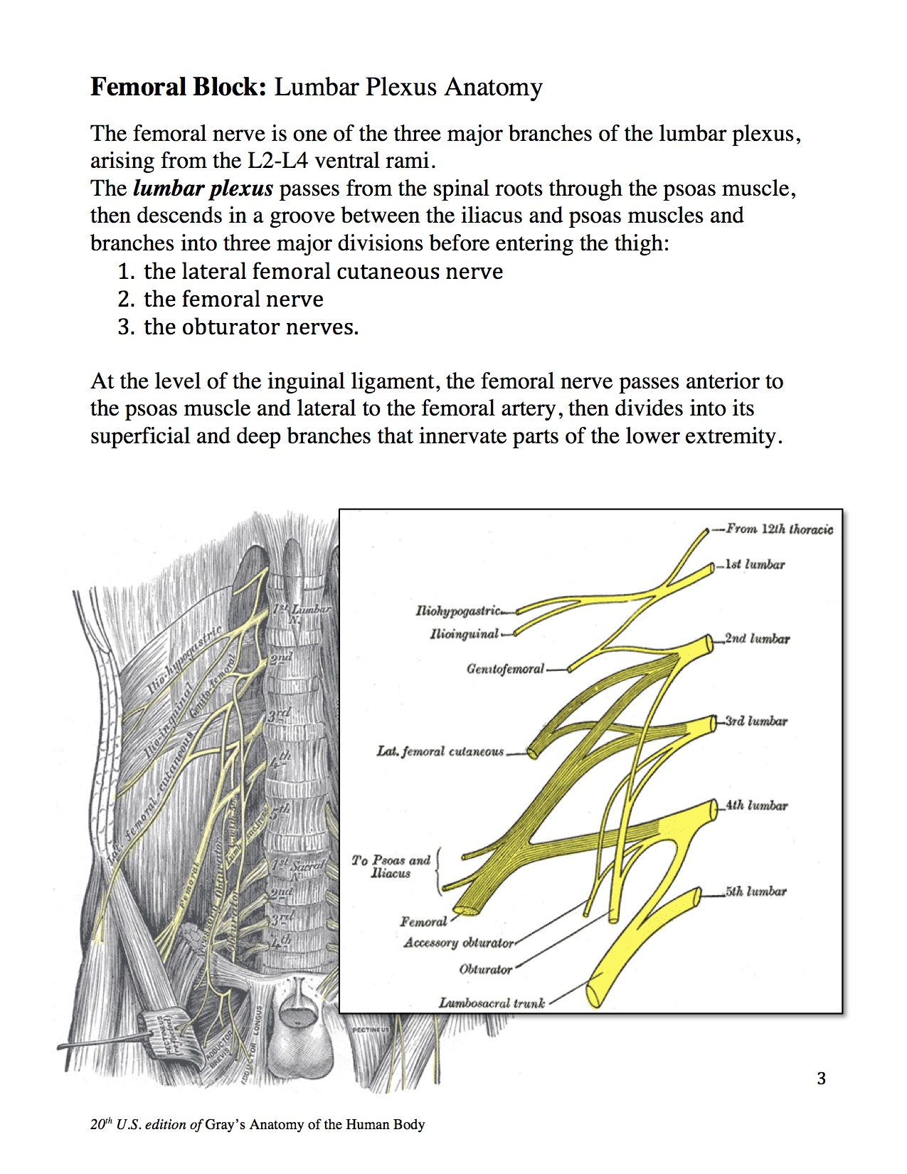 3_Fem_workbk_10.2 copy.jpg