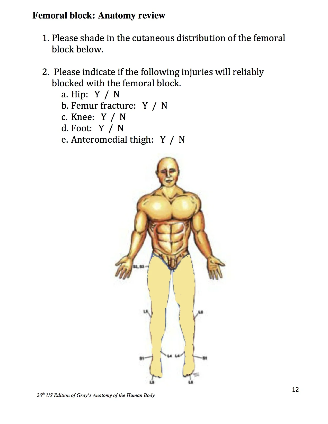 13_Fem_workbk_10.2.jpg