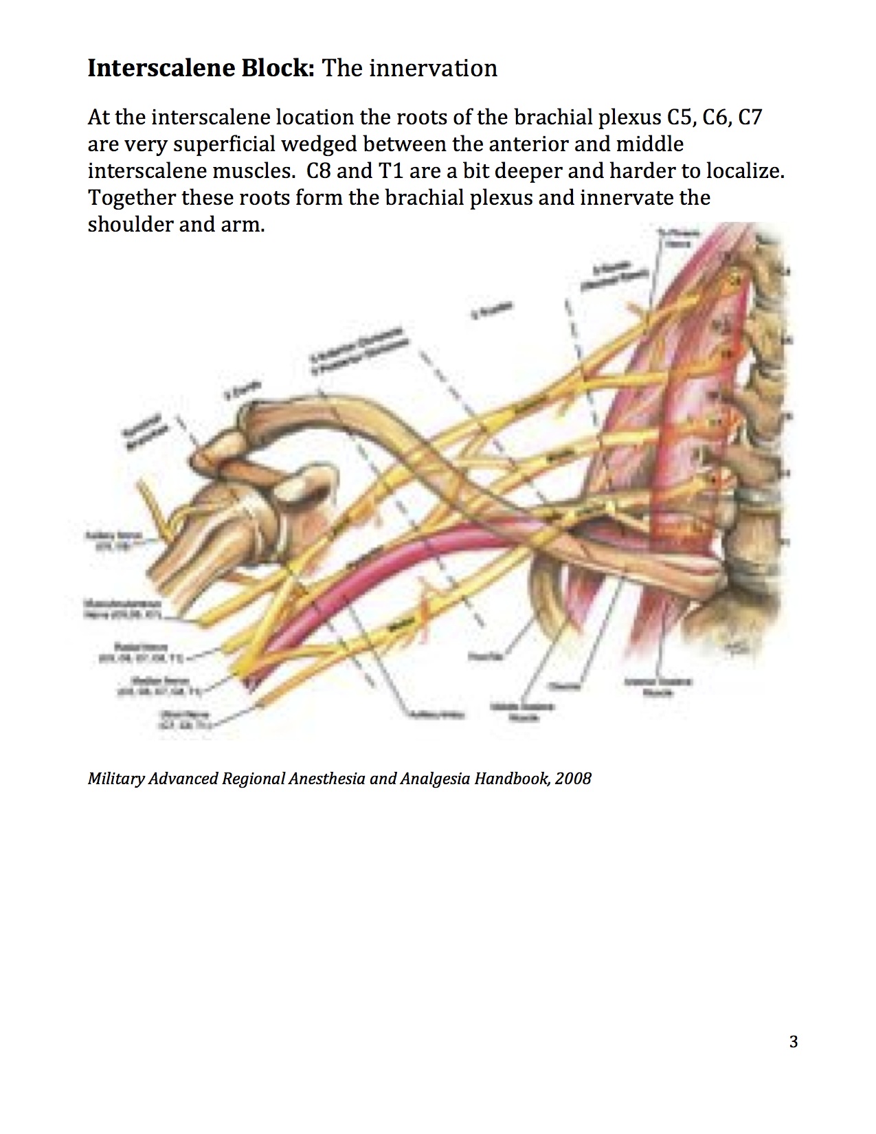 3_Insterscalene.workbook.jpg