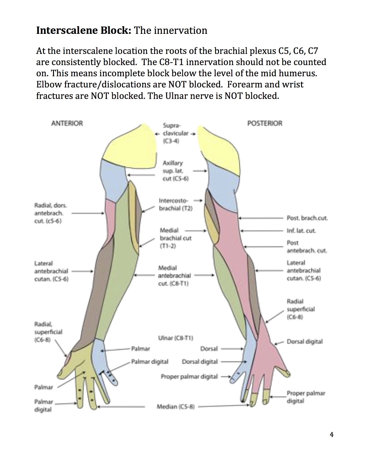 4_Insterscalene.workbook.jpg