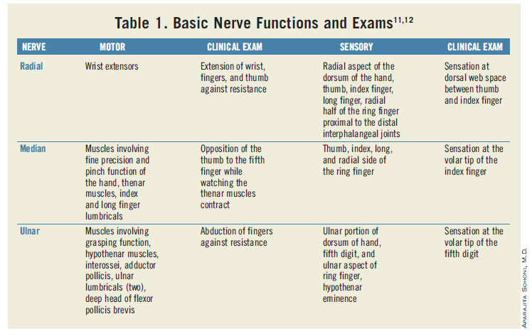 Forearm blocks — Highland EM Ultrasound Fueled pain management