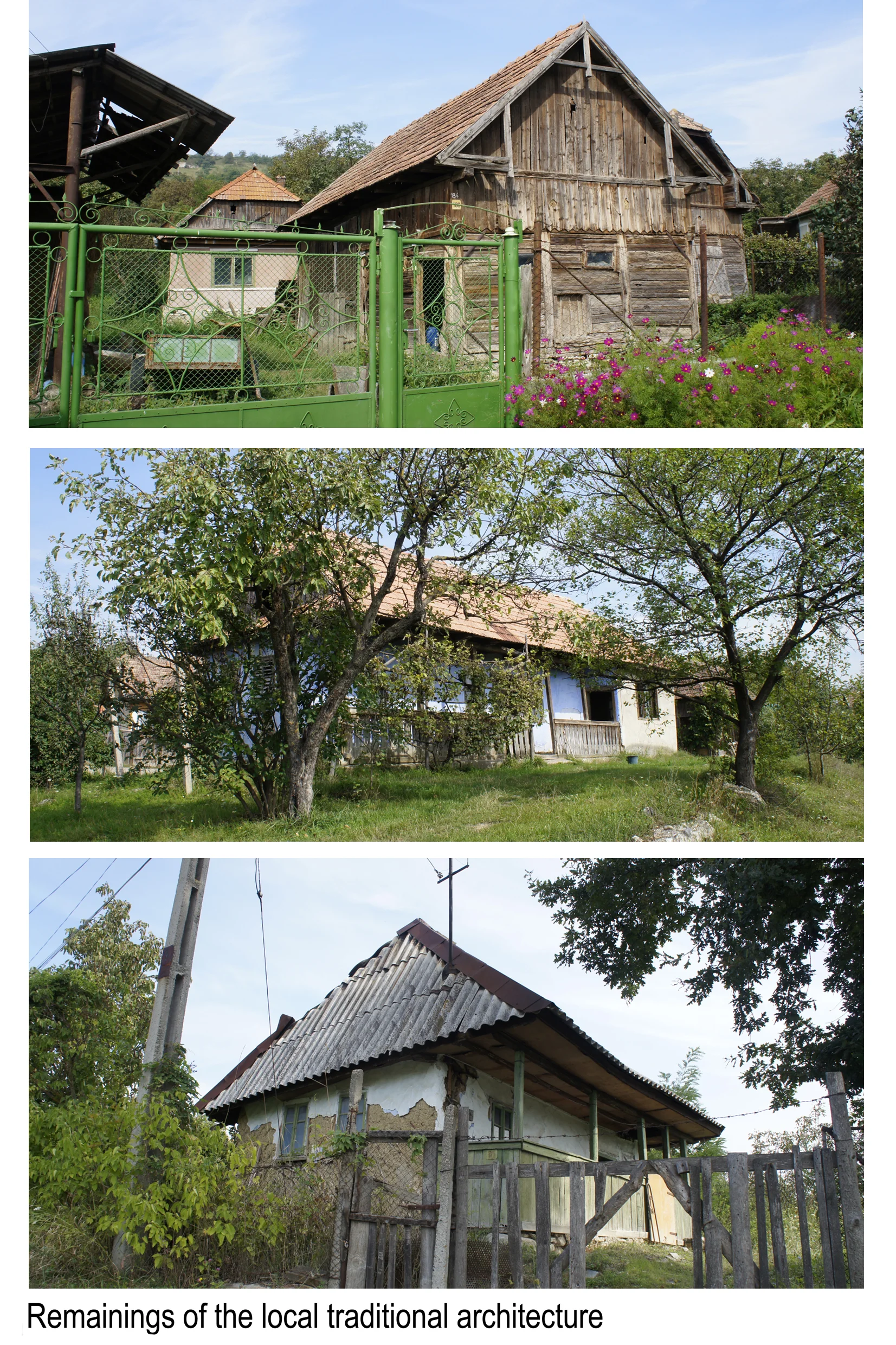 S.C3.72.60.03.jpg