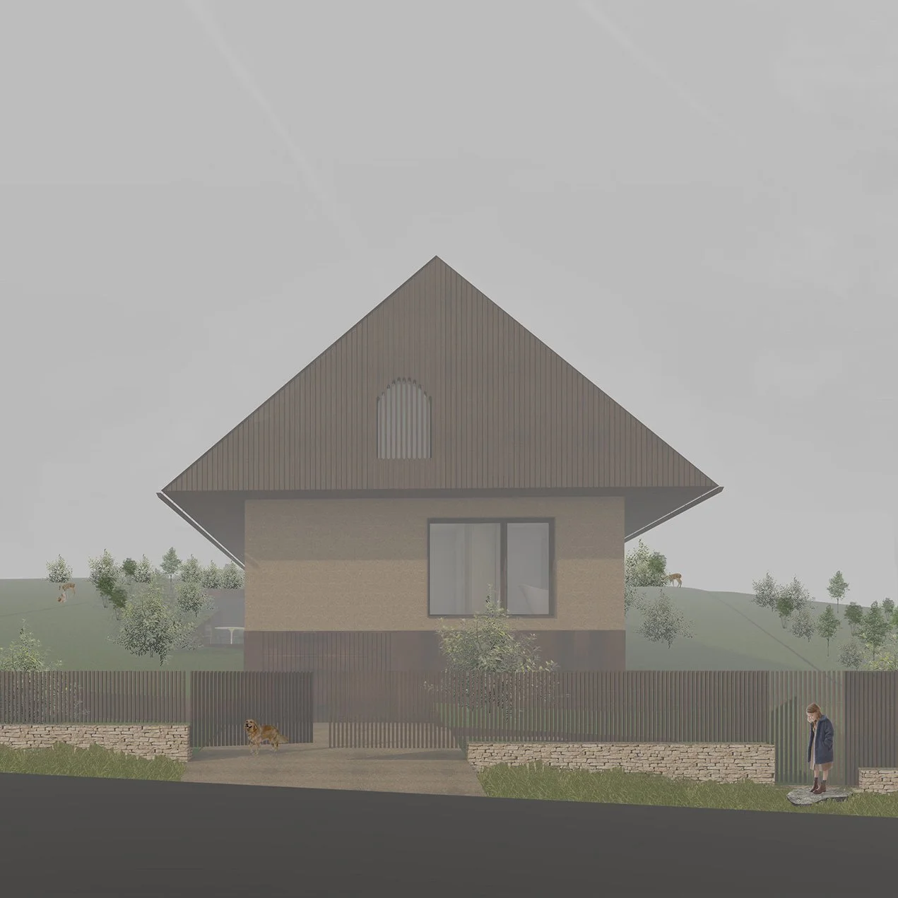 imagine copertă_crop.jpg