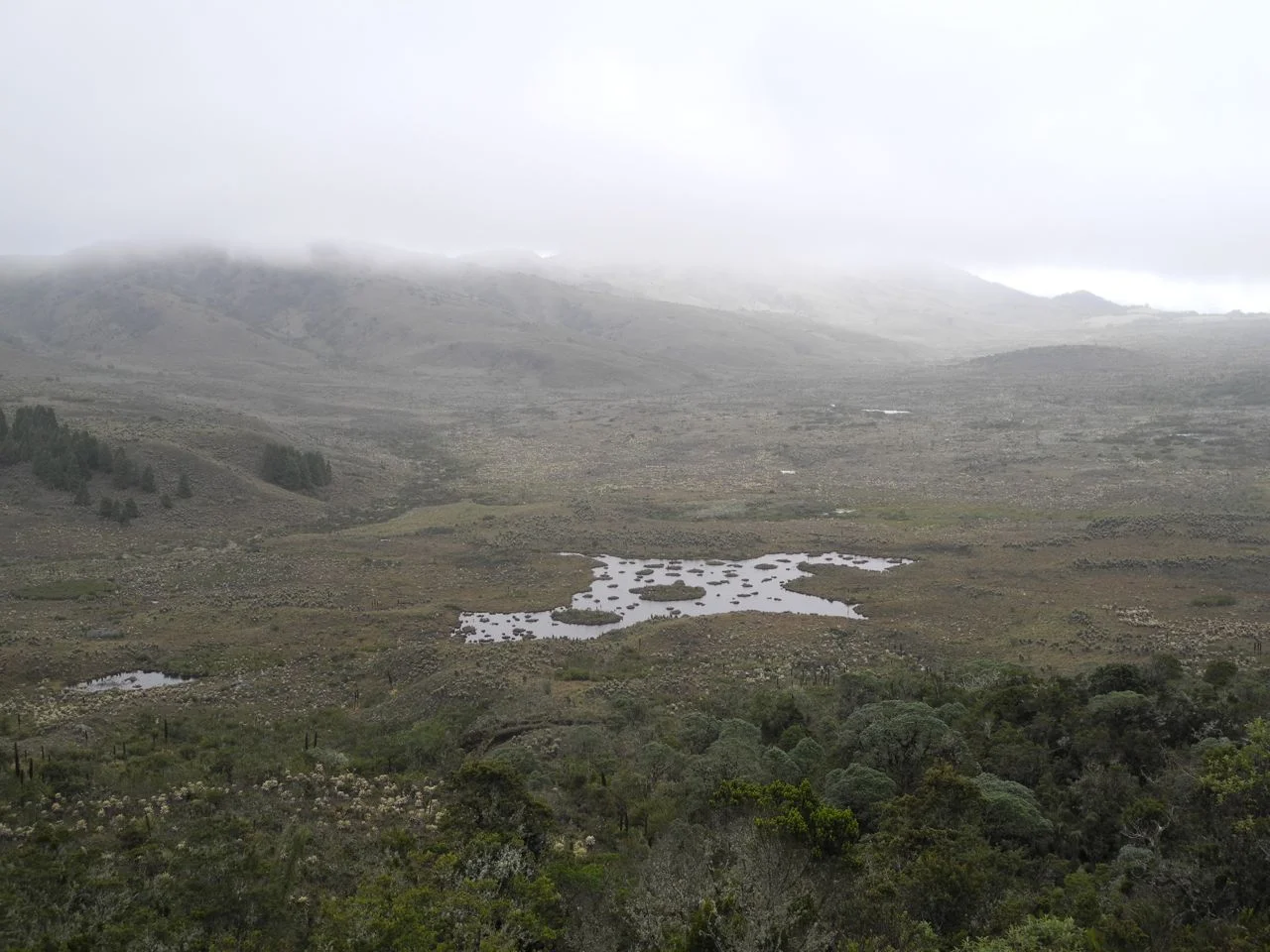 "The Map" Lagoon, named for its resemblance with the Colombian map, head of Bogotá river, Páramo de Guacheneque, Cundinamarca, Colombia.
