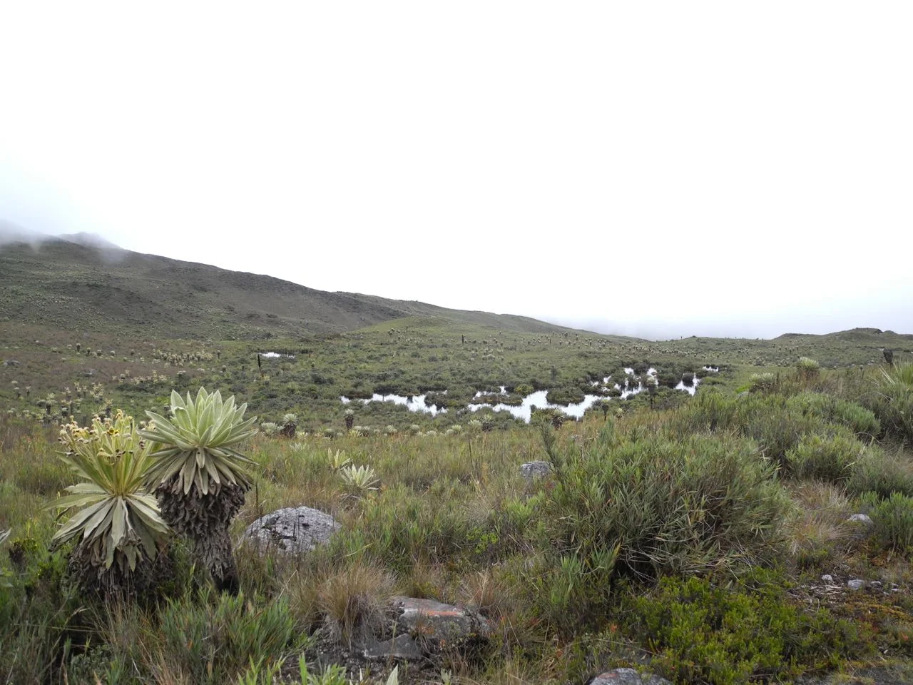 Paramo in Vadohondo