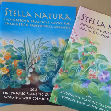 Menu Item Editorial.jpg