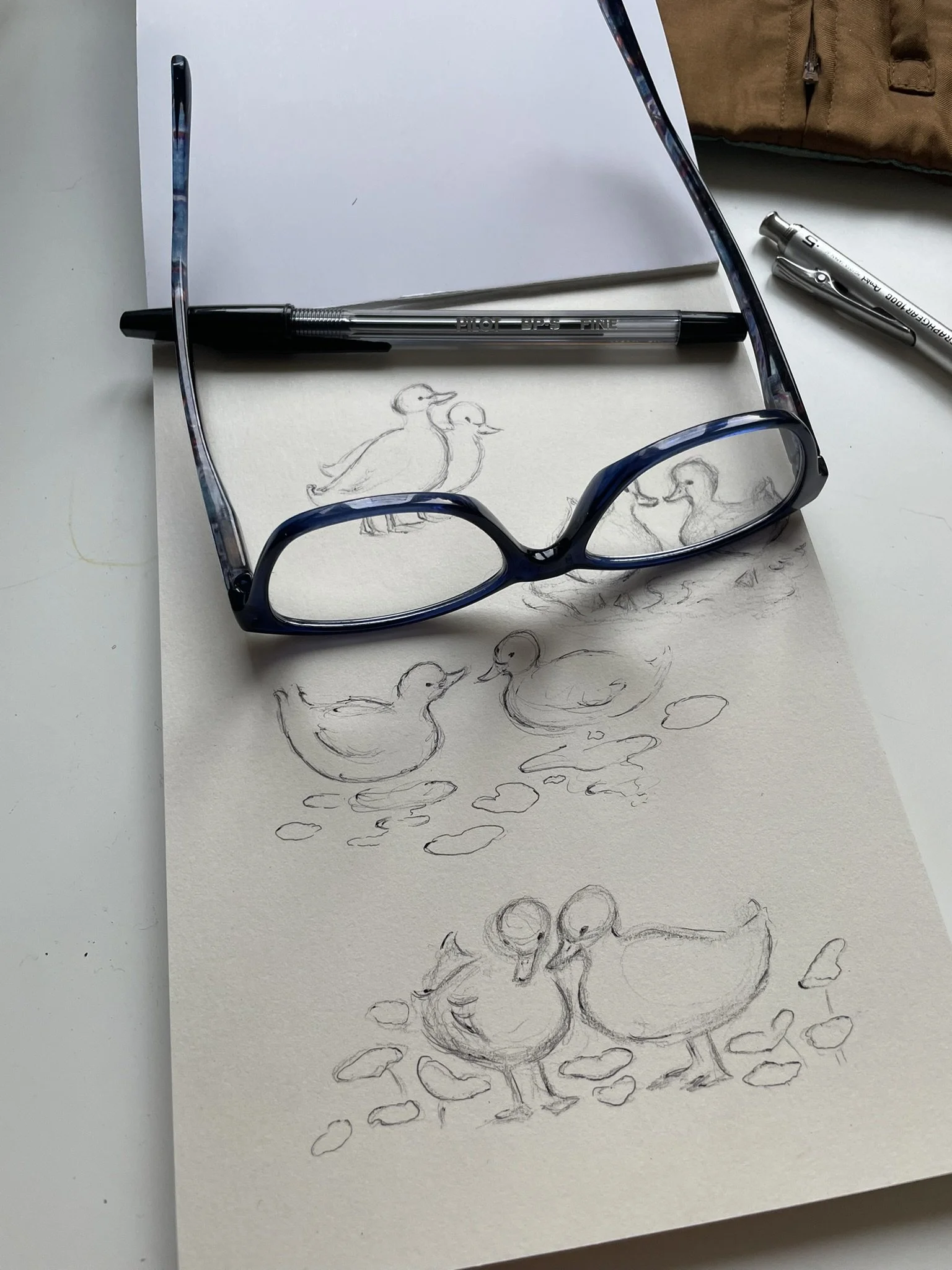 ellapointe duck sketches.jpeg
