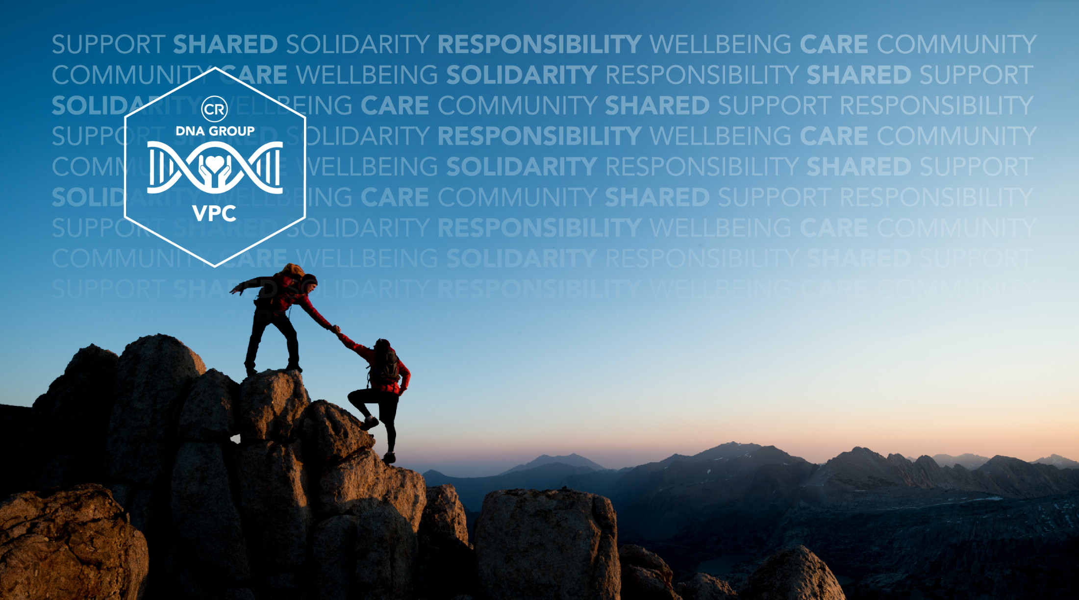 Screen Shot 2024-07-24 at 2.08.45 PM.png