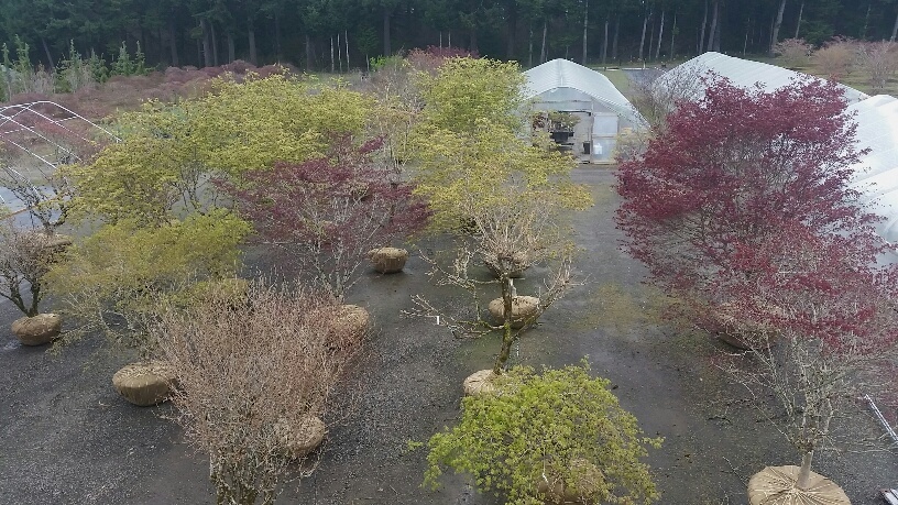 Ariel shot of our new specimen collection