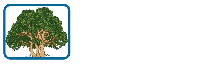 Jaycee Newman, Inc.