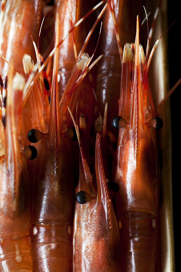 Burggraaf_Charity-Seattle_Food_Photographer-Shiros_Spot_Prawns.jpg