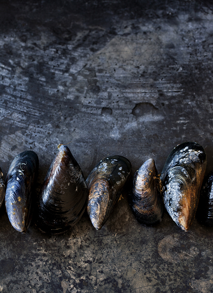 Burggraaf_Charity-Seattle_Food_Photographer-Nathan_Carrabba-Pasta-mussels.jpg