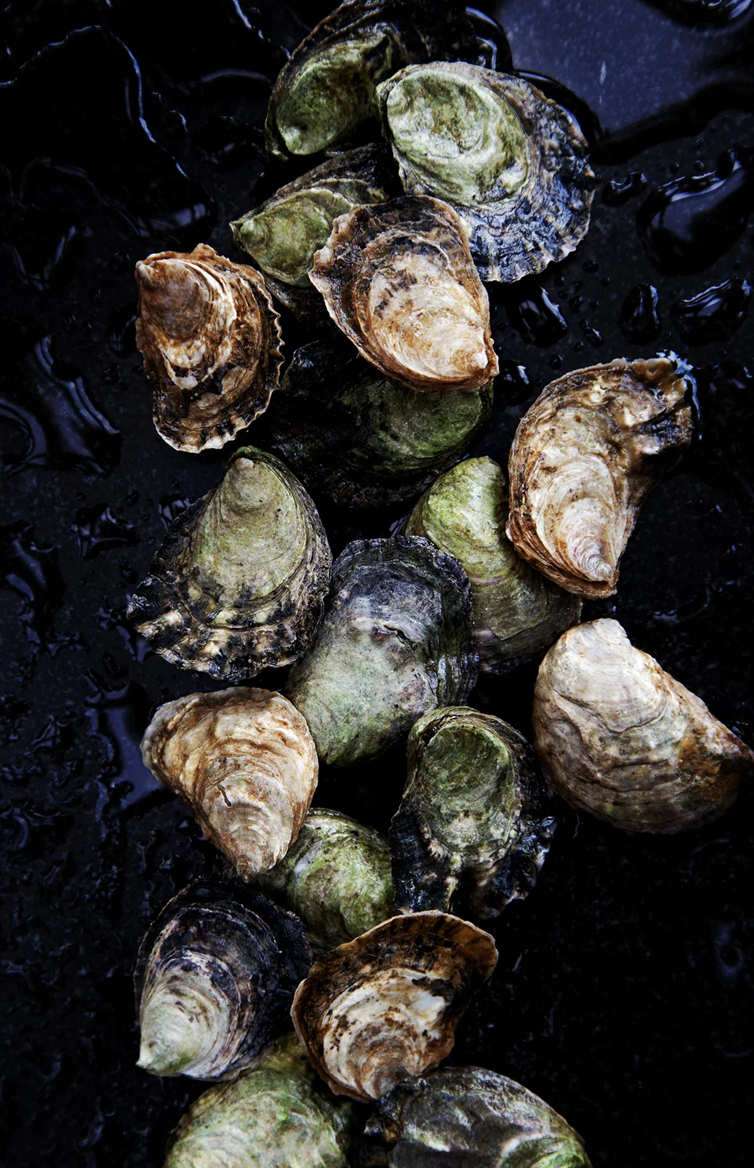 Burggraaf_Charity-Seattle_Food_Photographer-Olympia_Oysters-fresh.jpg