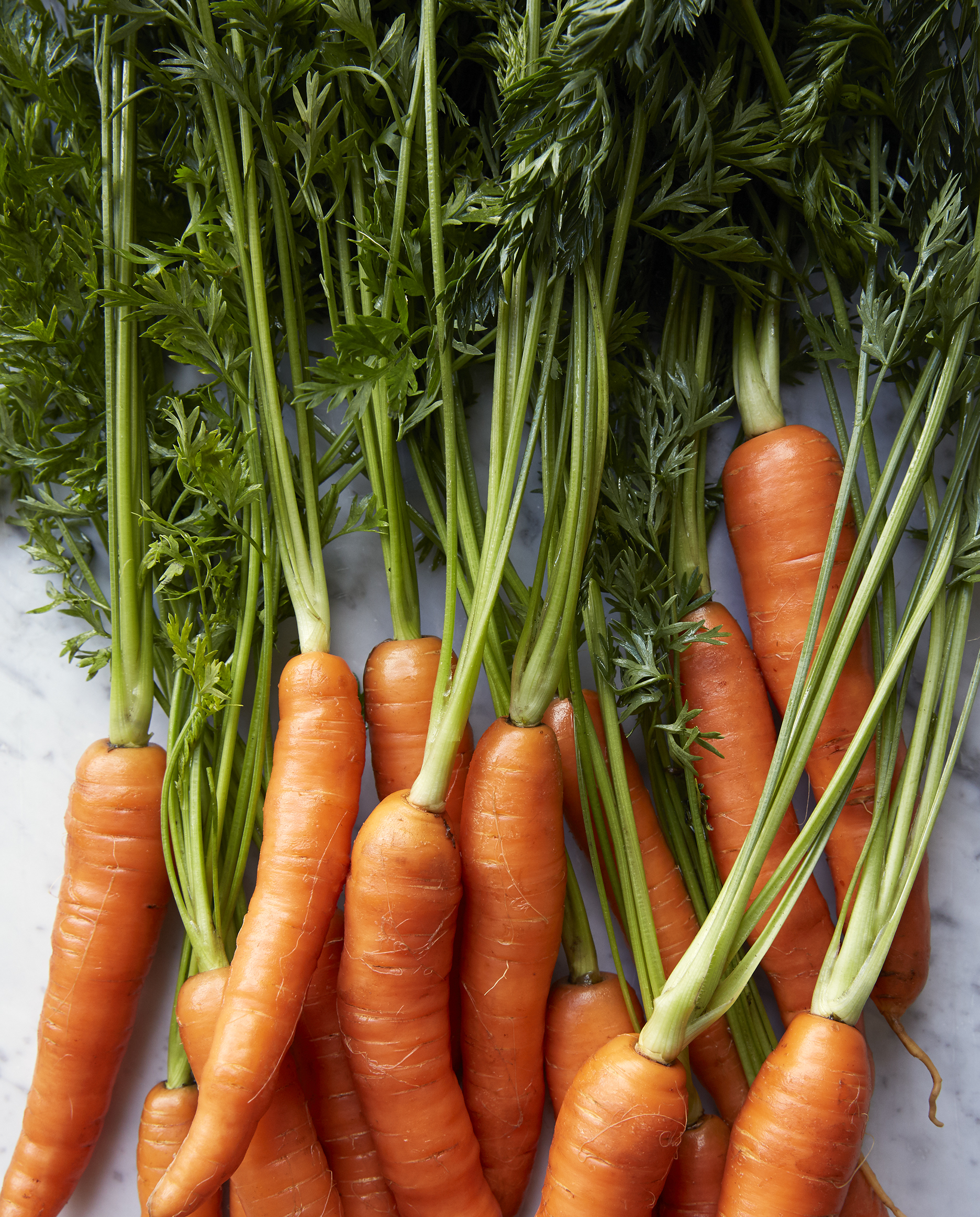Burggraaf_Charity-Seattle_Food_Photographer-Carrots.jpg