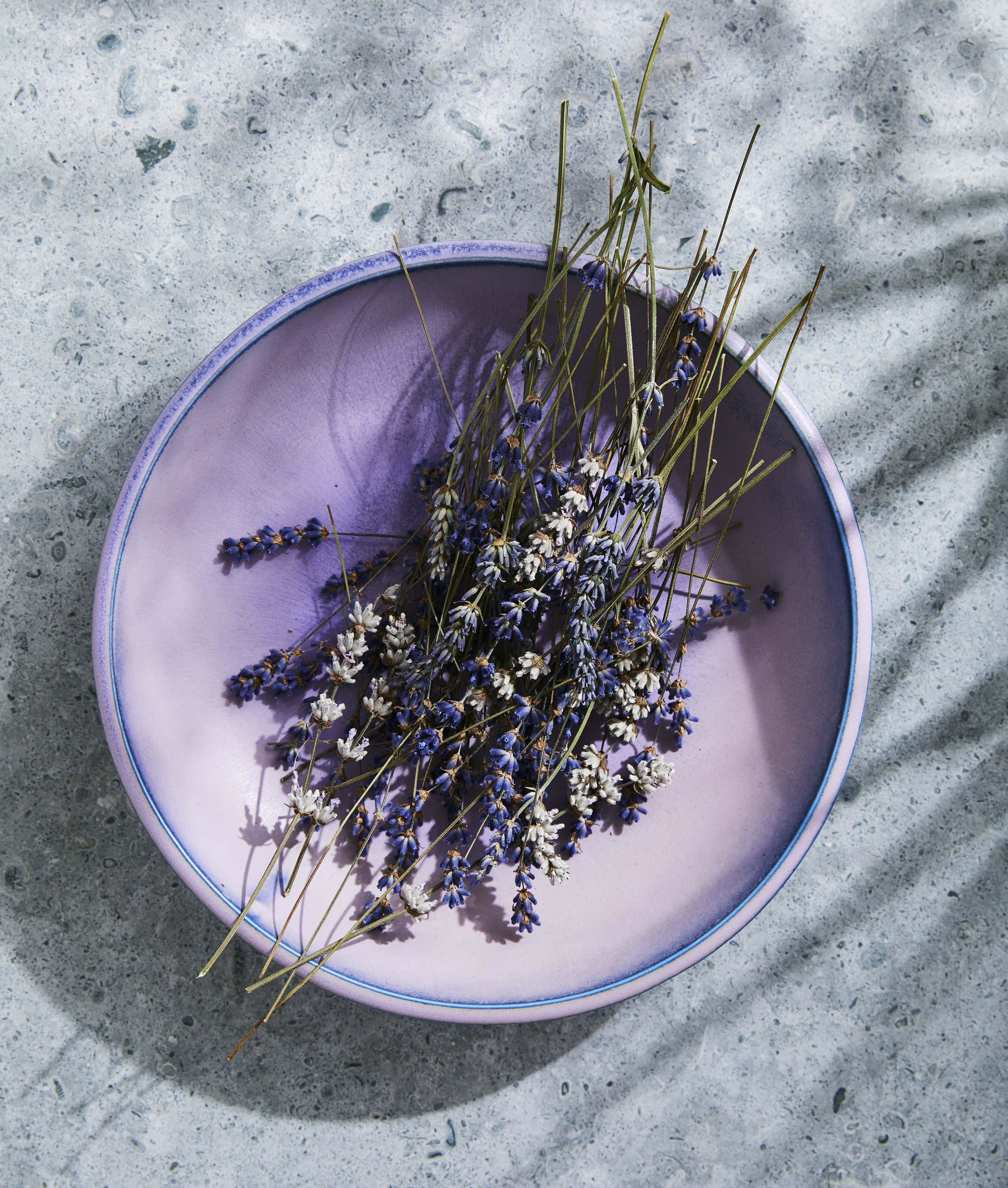 Charity Burggraaf | Cookbook Photographer | Seattle | Bellingham | Vancouver BC | Lavender Cookbook | Bonnie Louise Gillis | Garden Photographer | Harvesting Lavender