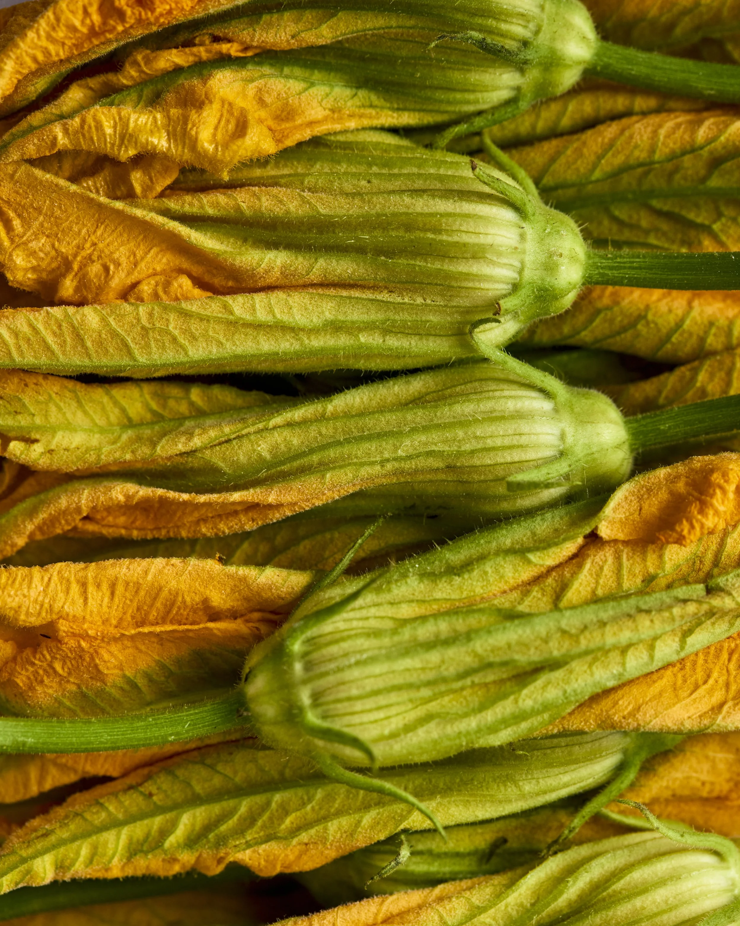 Burggraaf_Spinasse_Cookbook-4358.jpg