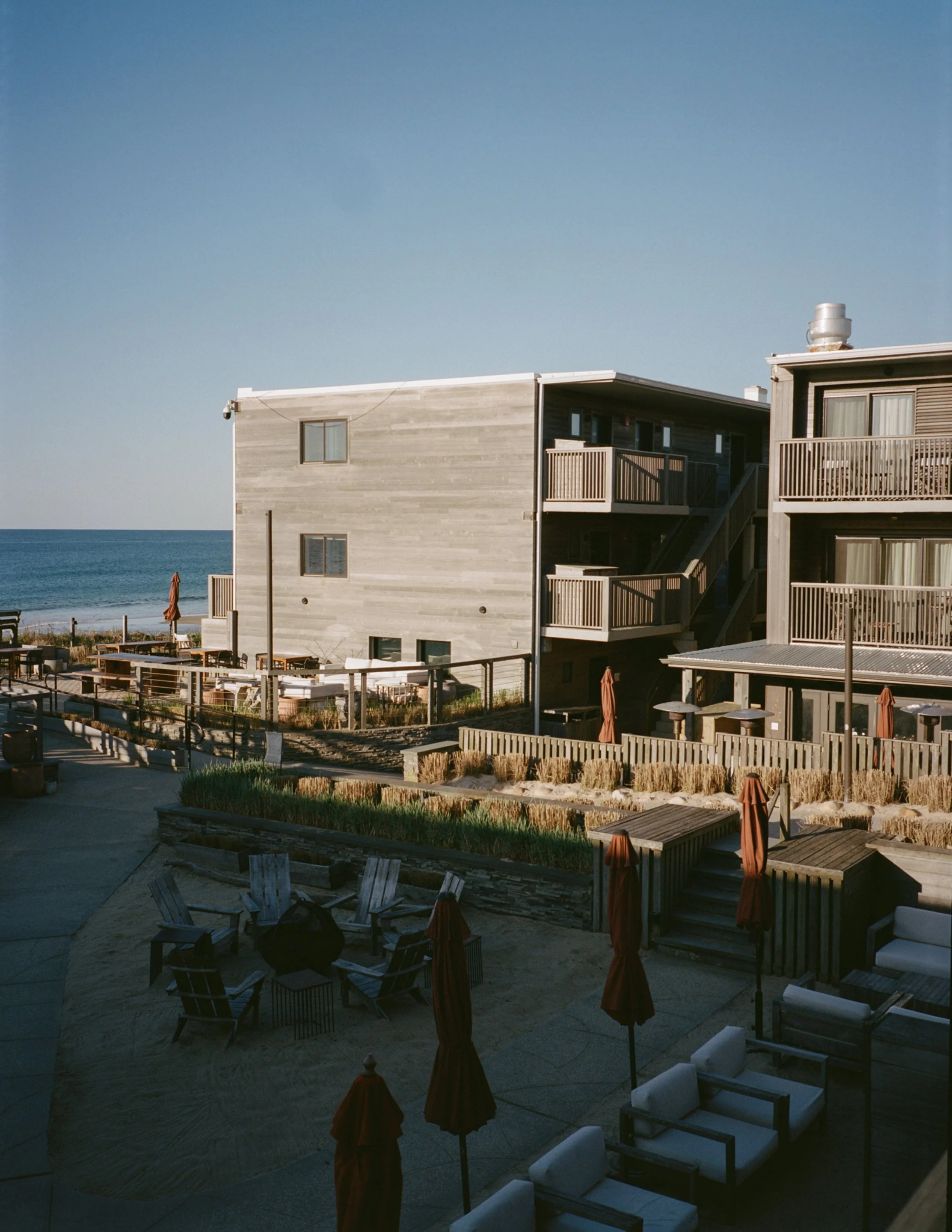 Marram_LeviWalton_2.jpg