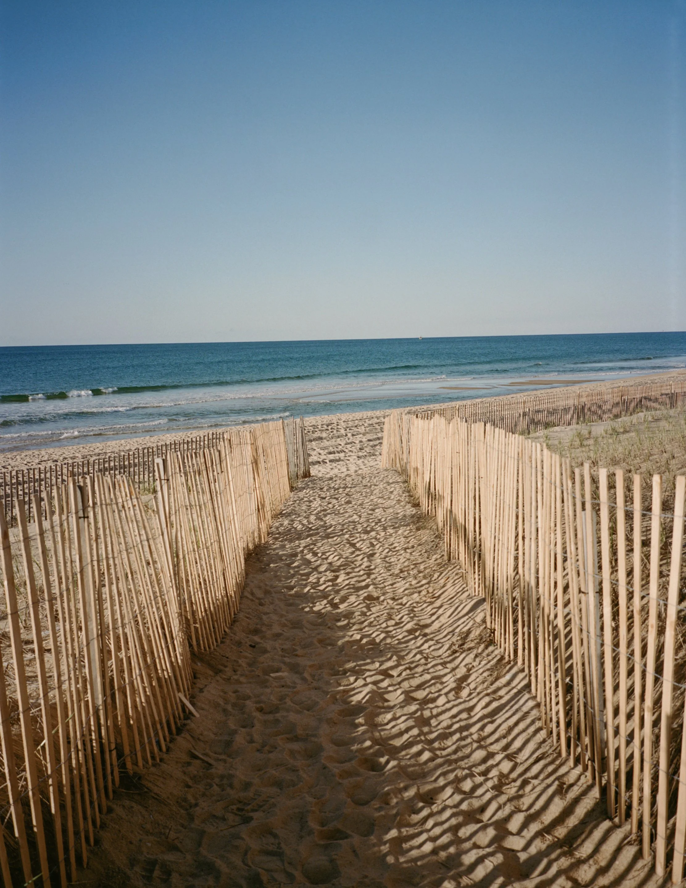 Marram_LeviWalton_3.jpg