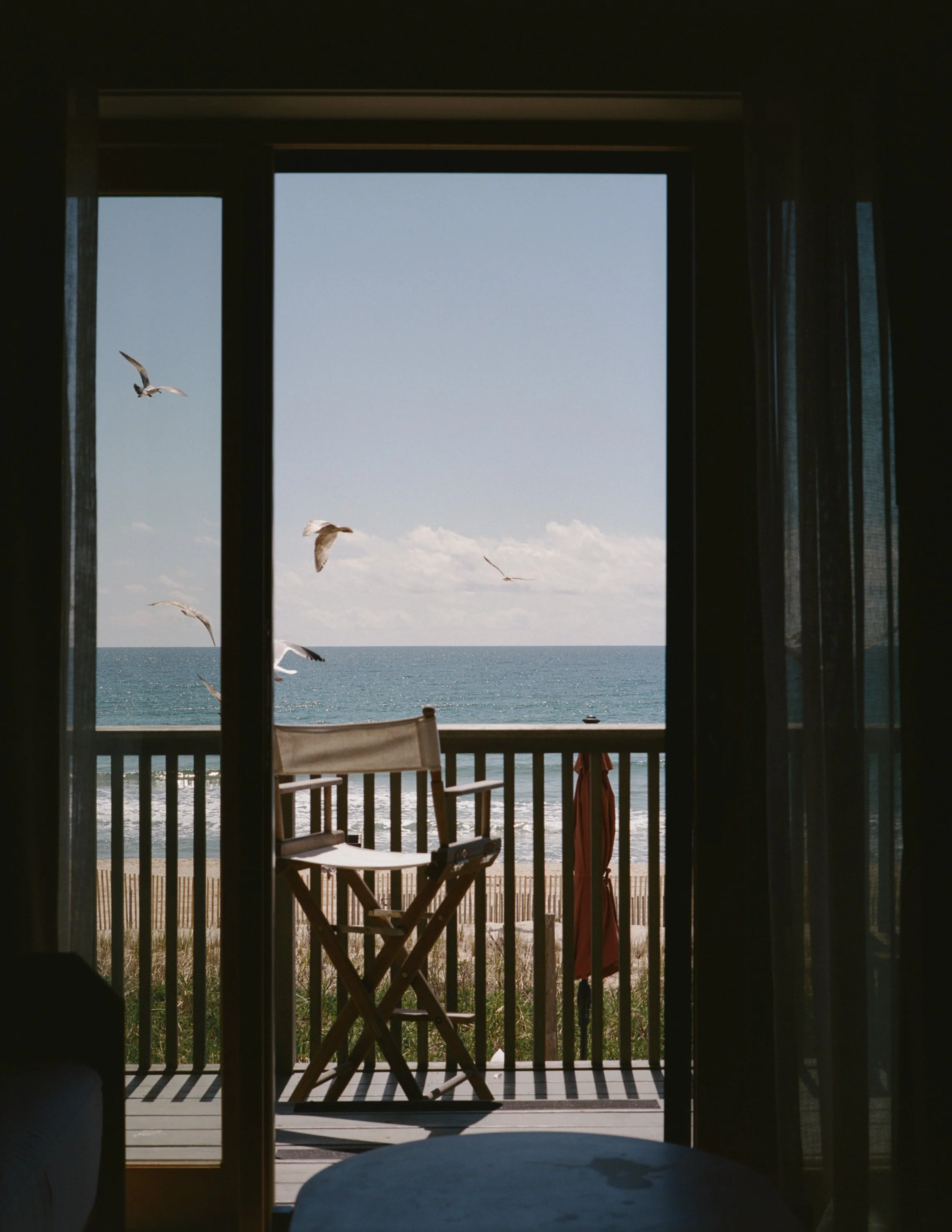 Marram_LeviWalton_6.jpg