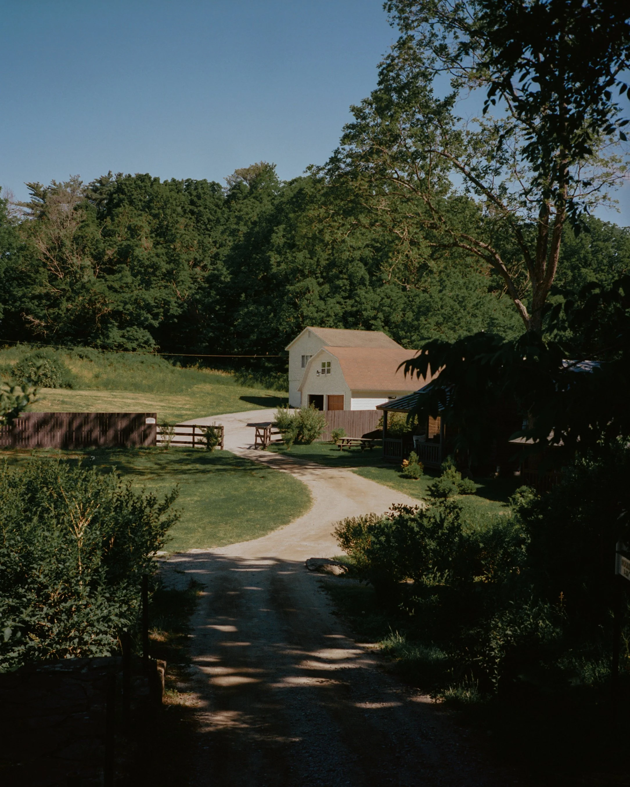 Camptown_LeviWalton_7.jpg