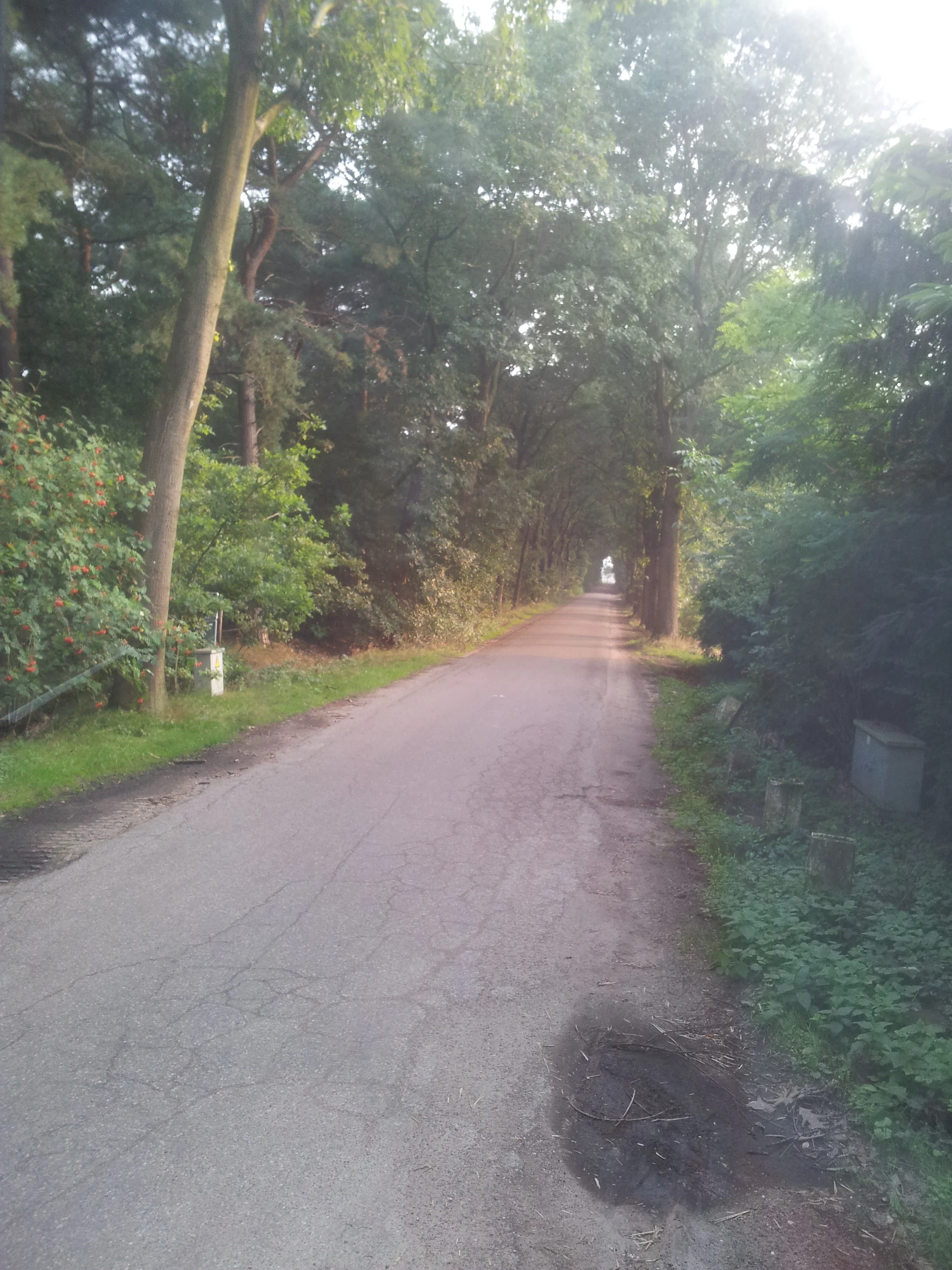 The road to great finds