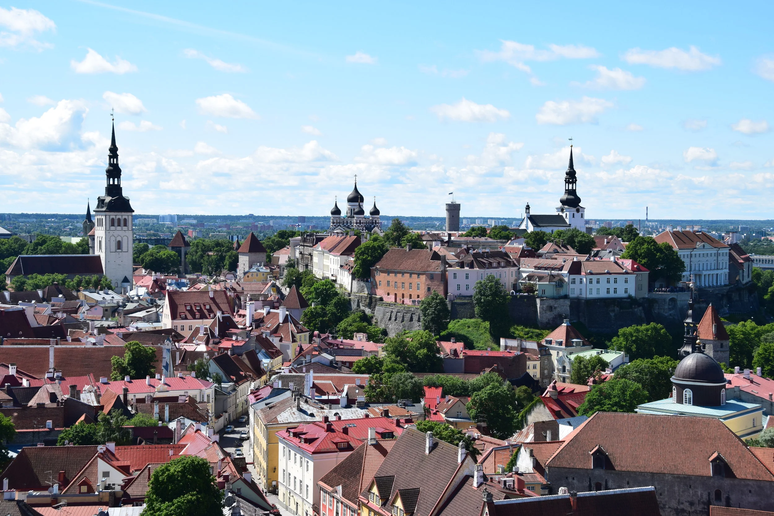 DSC_0391.JPG