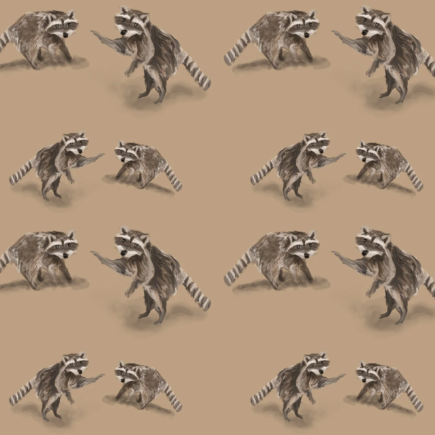 October 1st — International Raccoon Appreciation Day