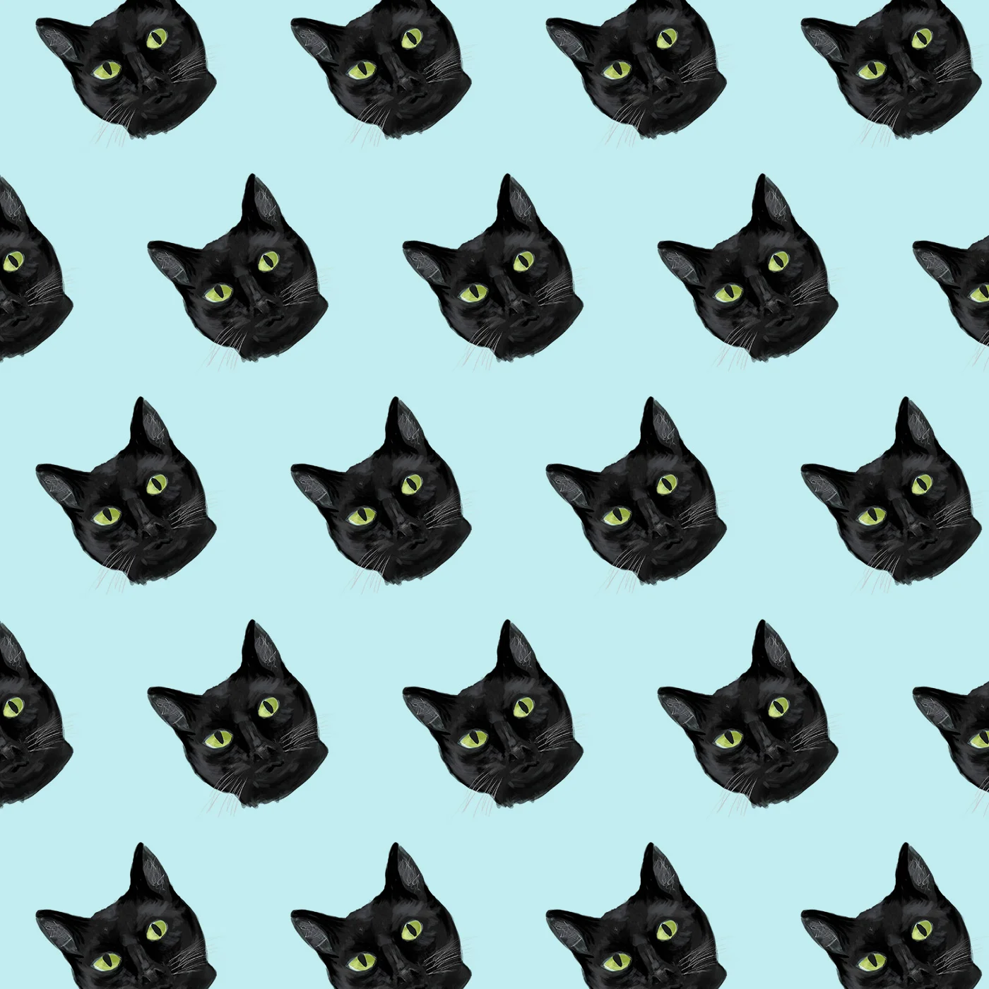 black-cat-web.jpg