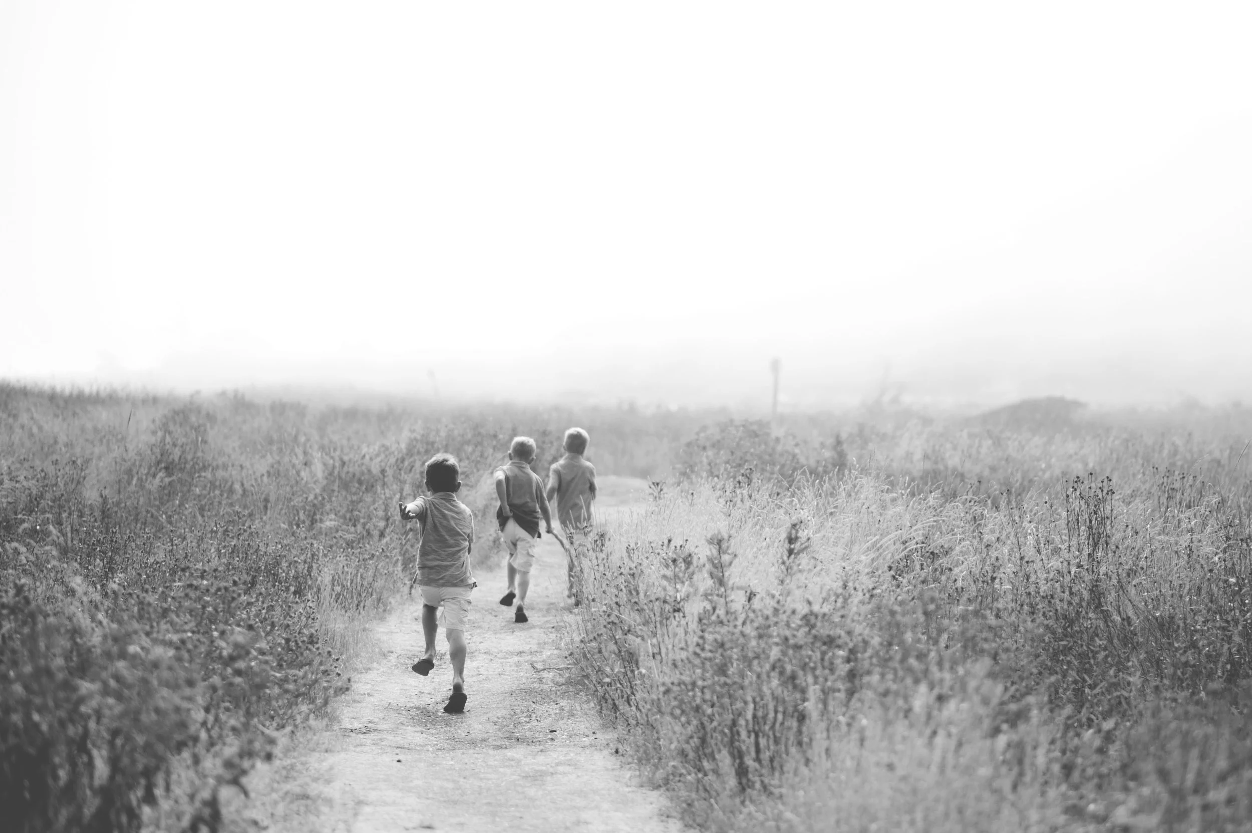 JenLeeLight001BW.jpg