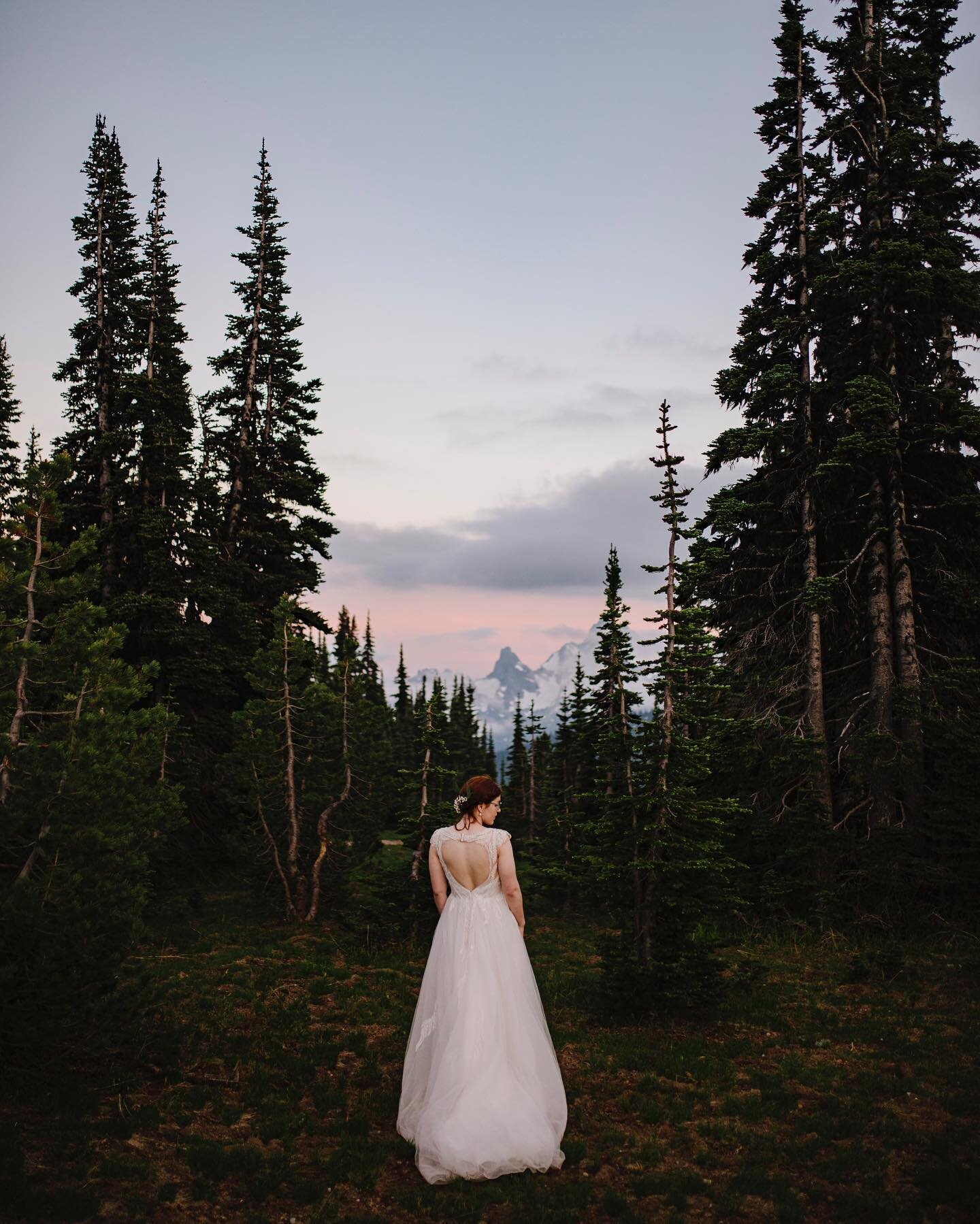 Dearest Julia. She needed a highlight all her own in all her brilliance and beauty.

_____

jenleelight #porttownsendphotographer #porttownsendwedding #seattleweddingphotographer #kitsapphotographer #porttownsend #washingtonphotographer #sequimphotog