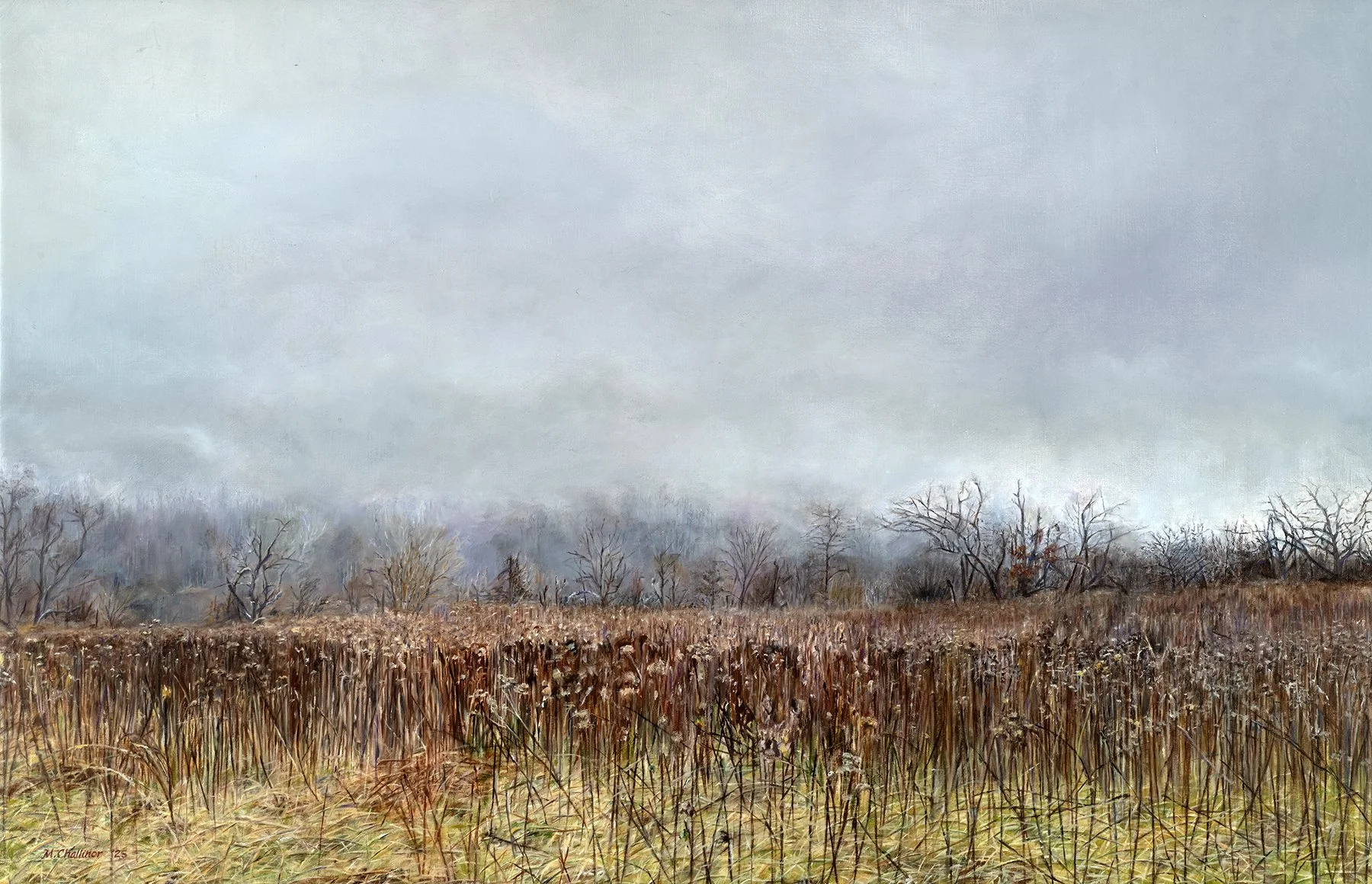 Virginia Fog for website.jpg