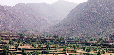 darrai_noor_landscape.jpg
