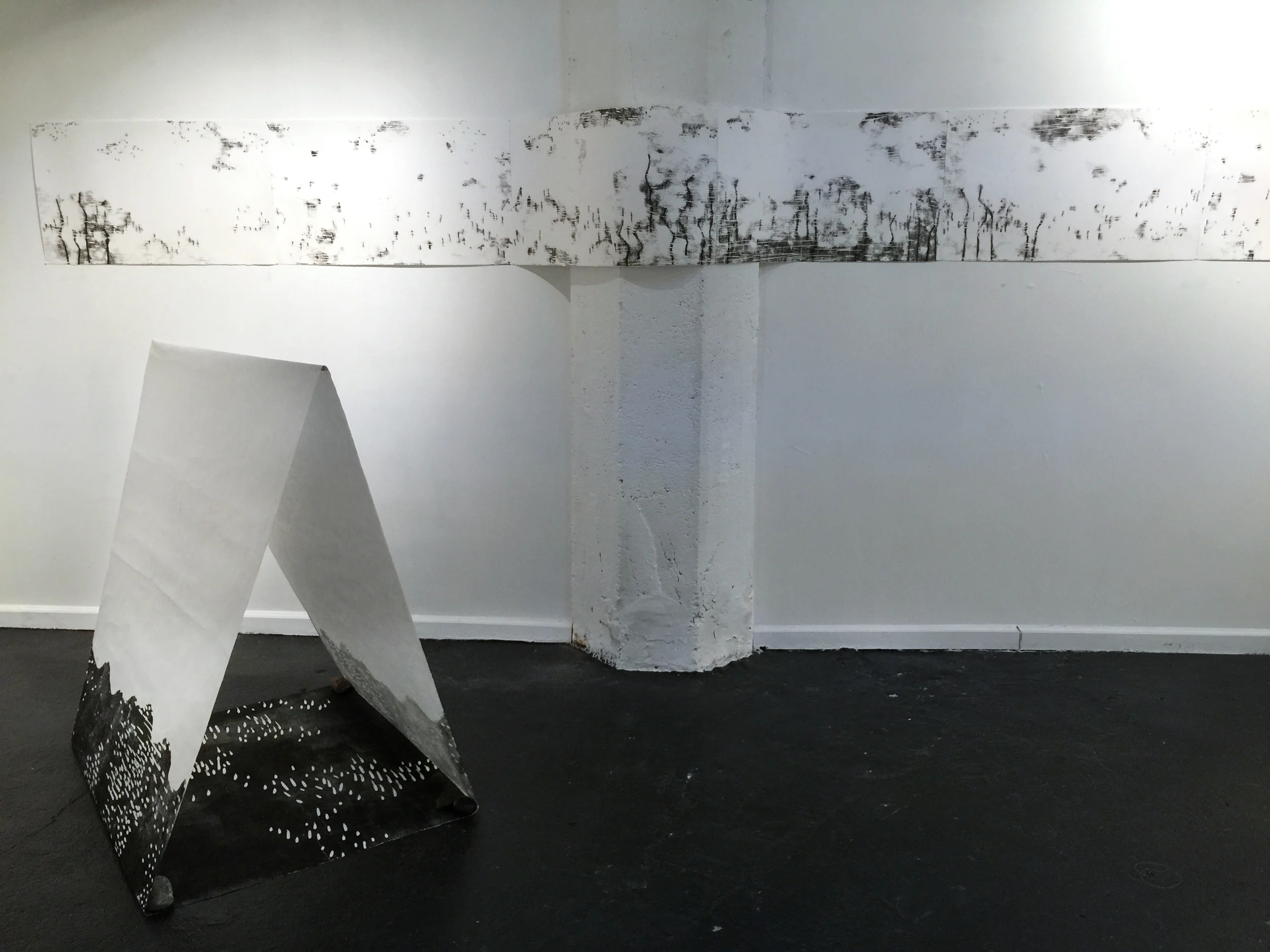 Fire Maps Installation.jpg