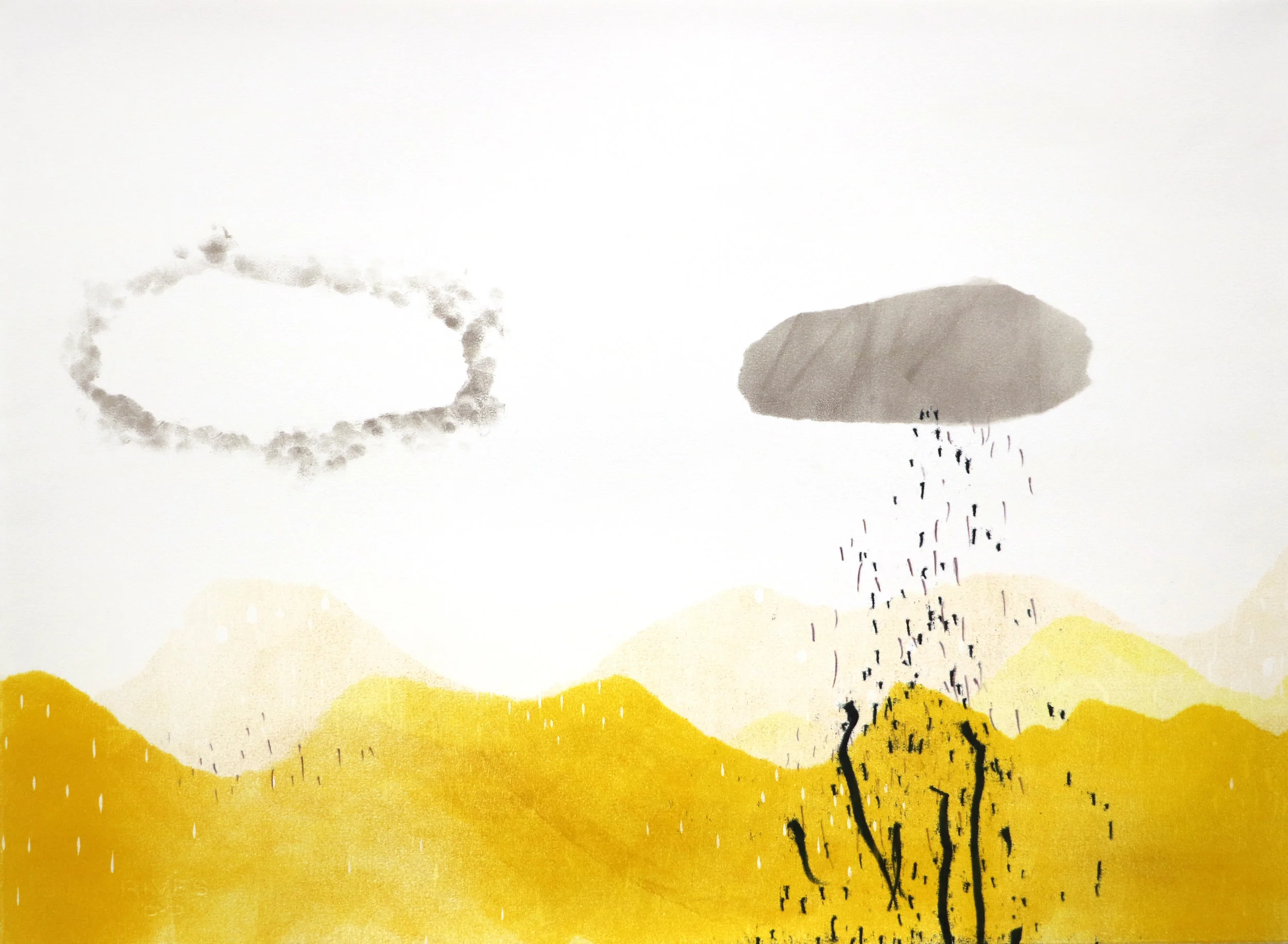 fringe landscapes 22x303.jpg