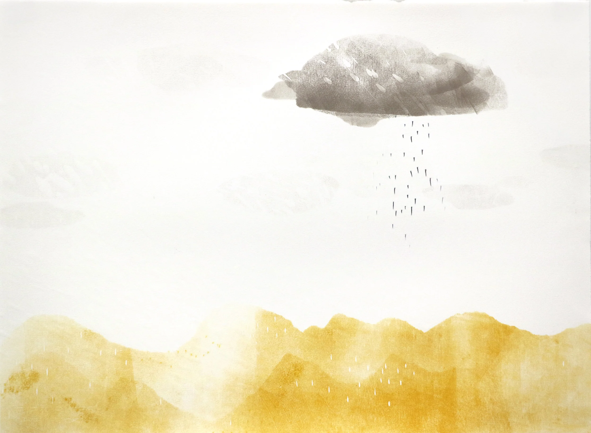 fringe landscapes 22x305.jpg