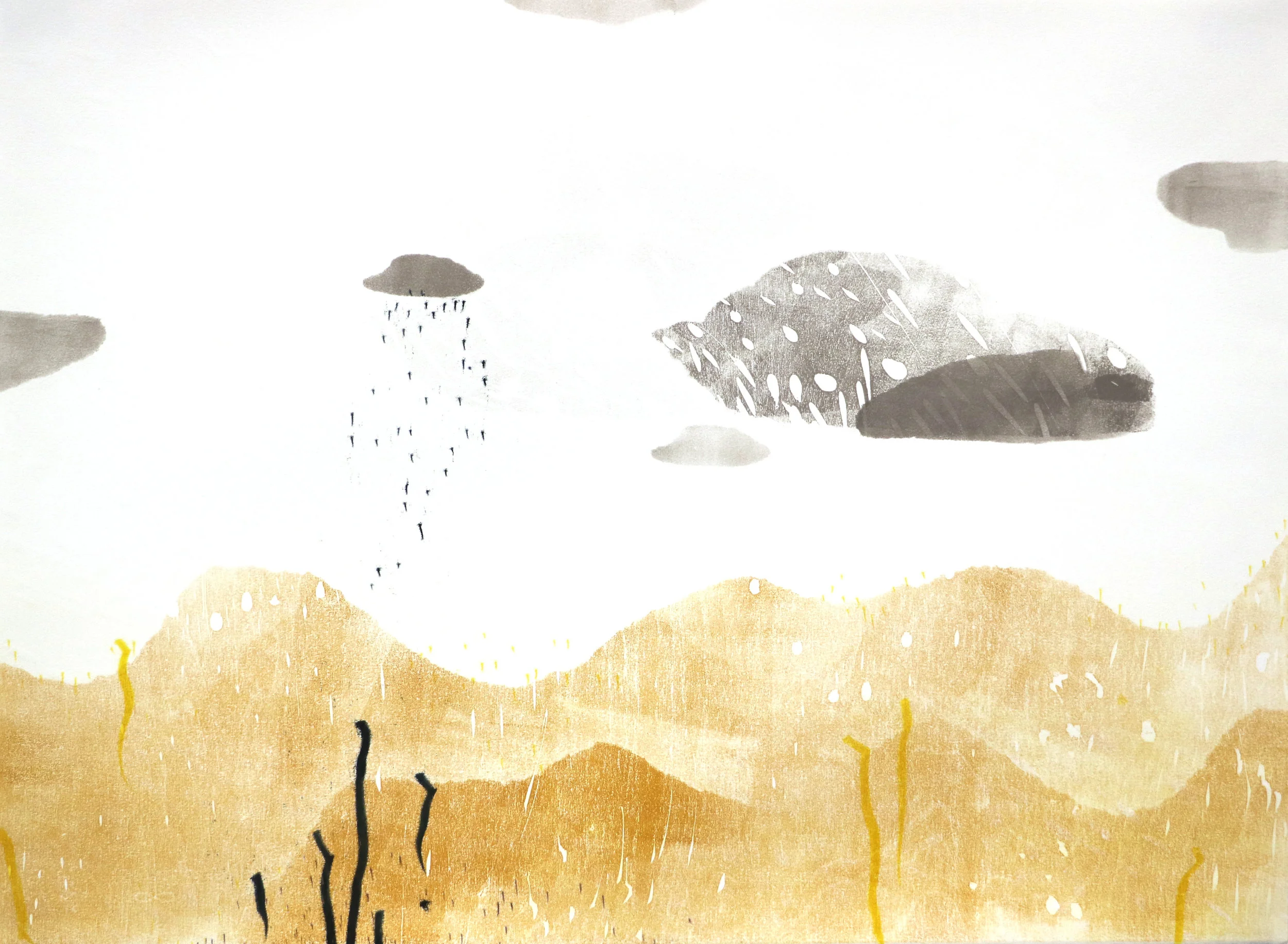 fringe landscapes 22x309.jpg