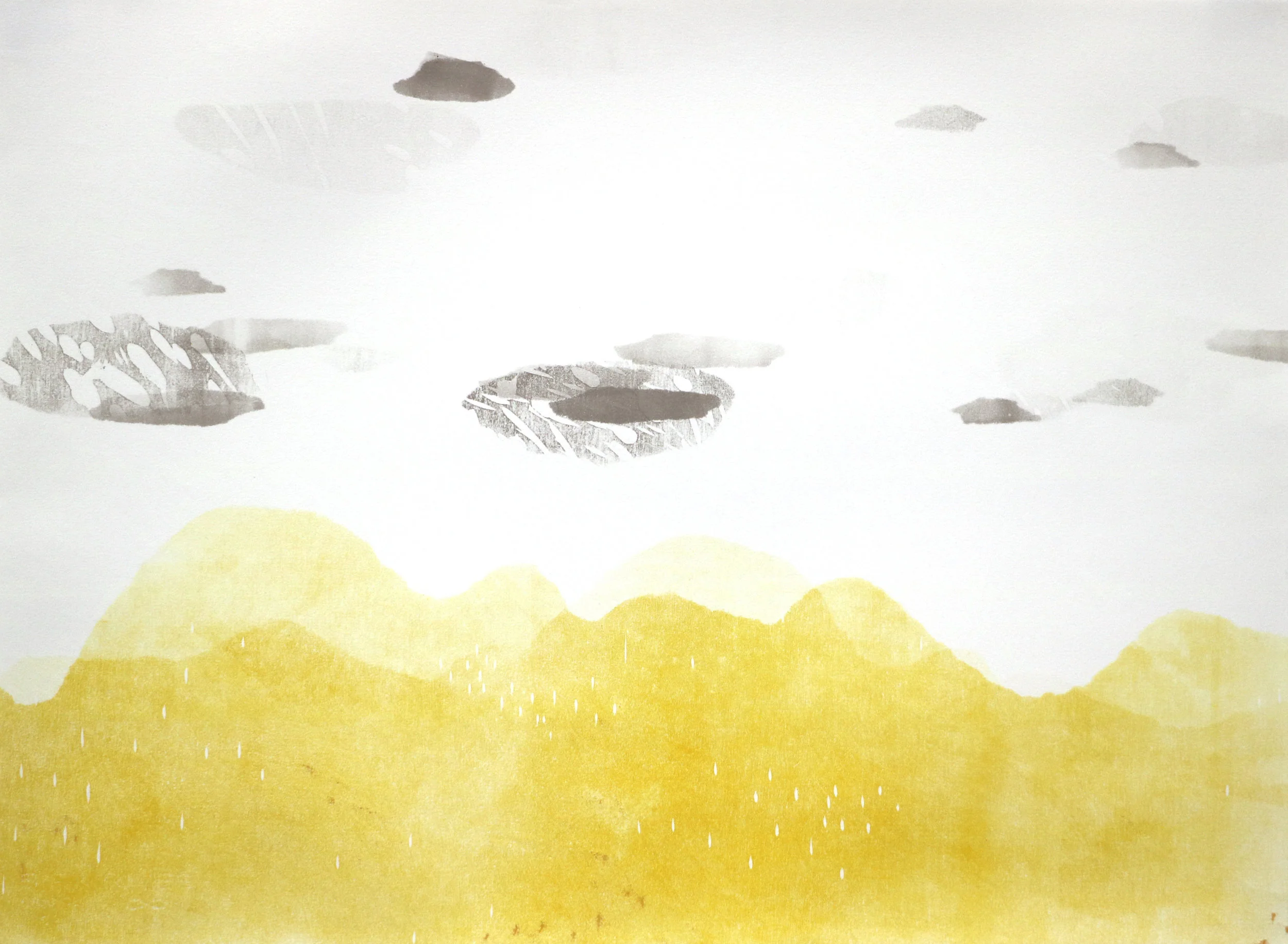 fringe landscapes 22x3012.jpg