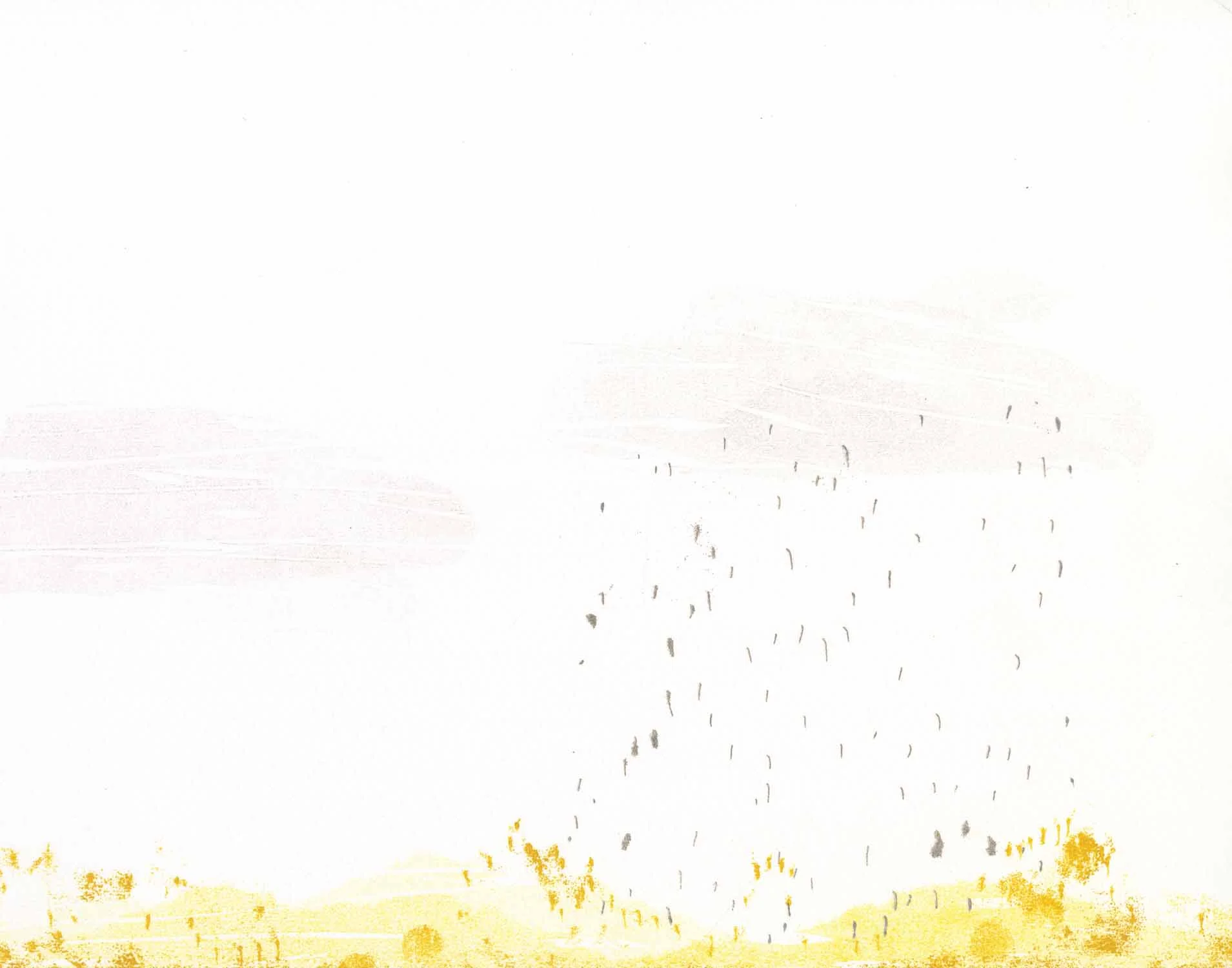 Fringe Landscapes 11x14 16.jpg
