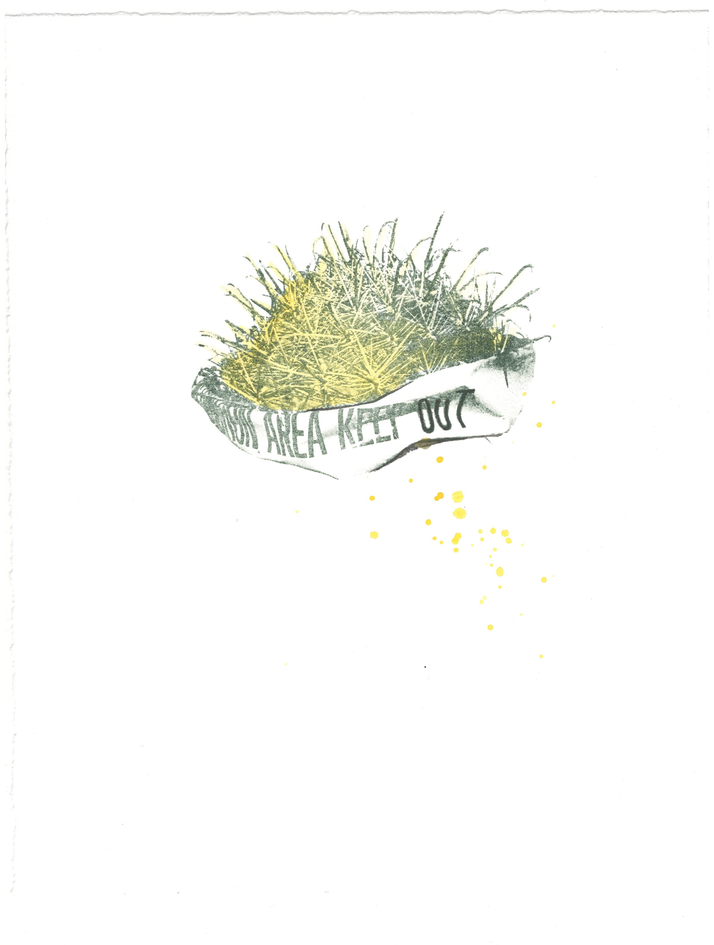 Defensible Space 5.jpeg