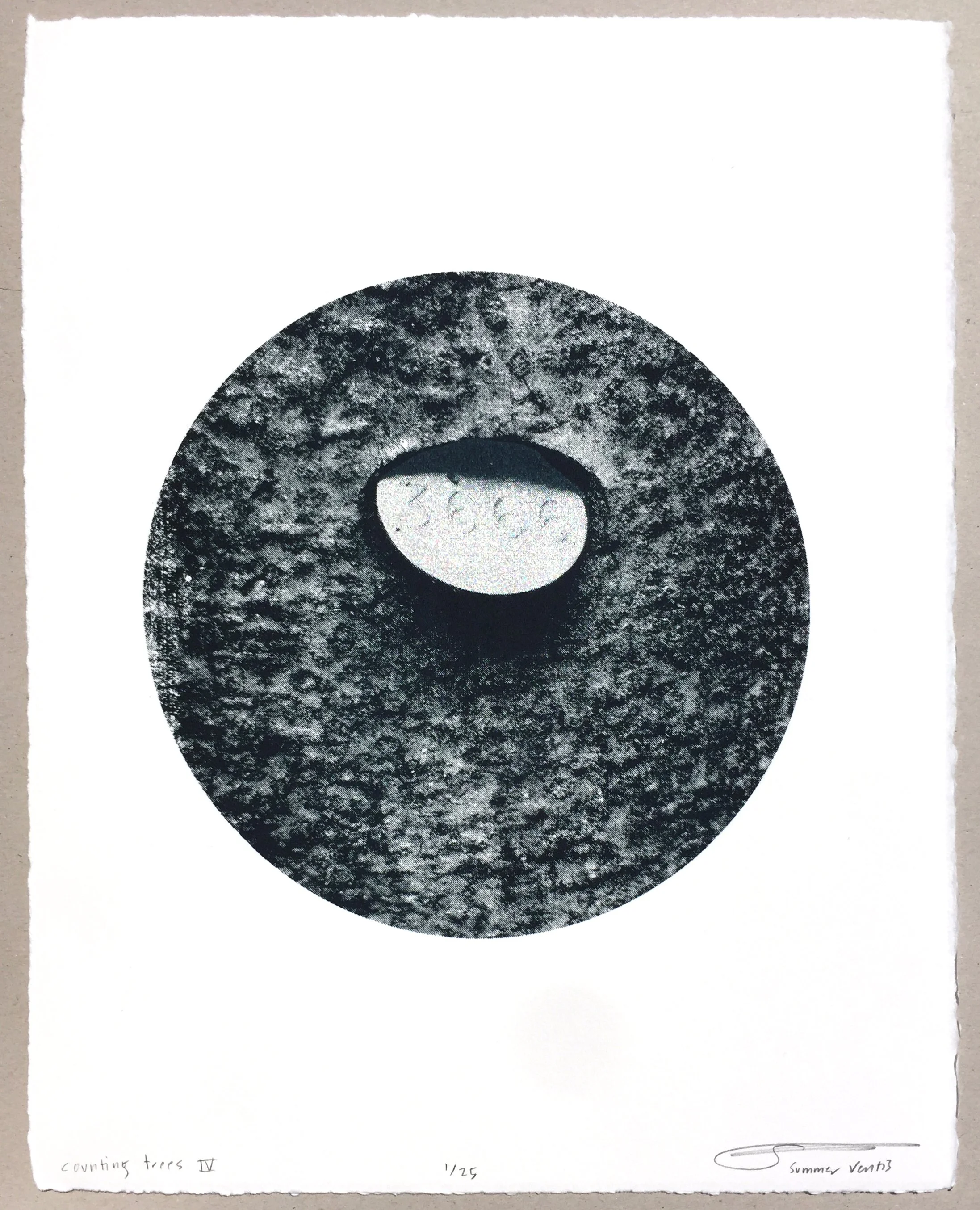 Counting Trees IV.jpg