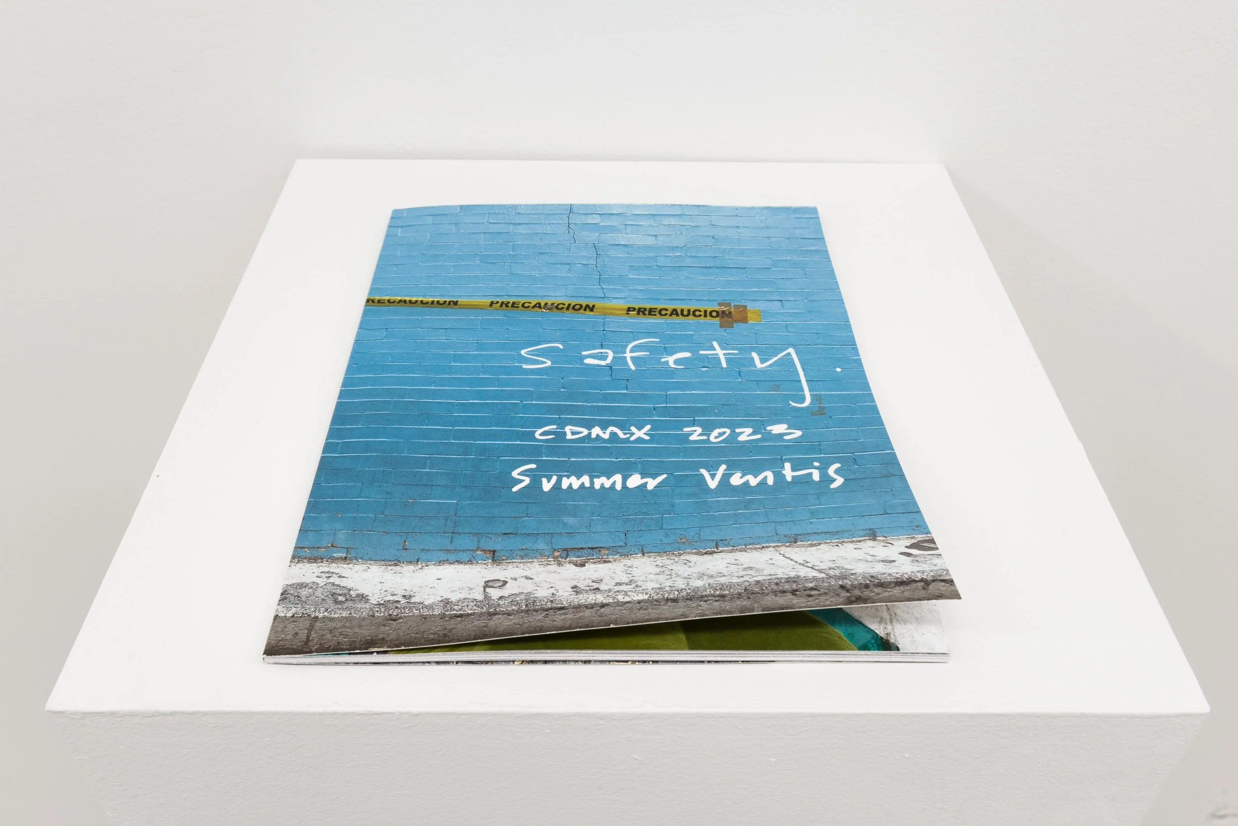 Summer Ventis_11.jpg