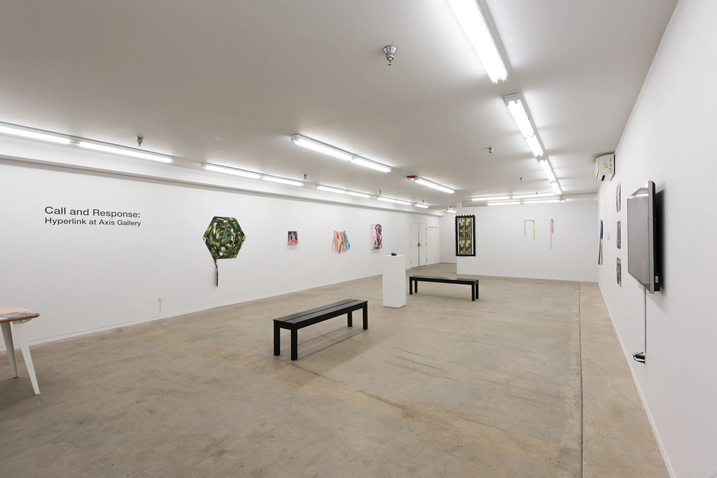 Hyperlink at Axis Gallery_2.jpg