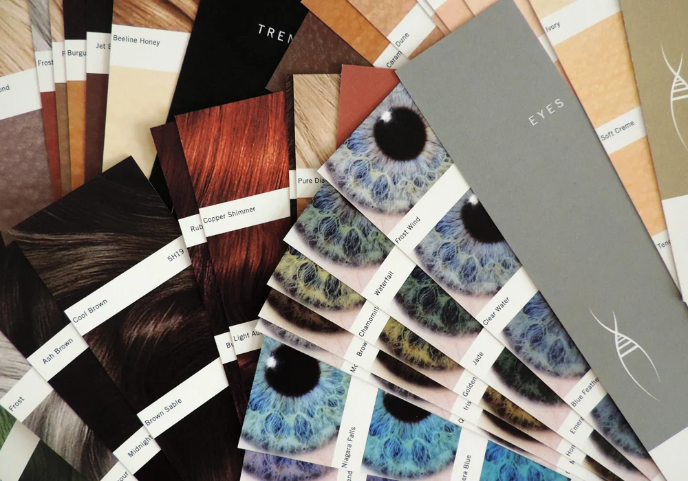 Hatchery_Photos-Swatches-01.jpg