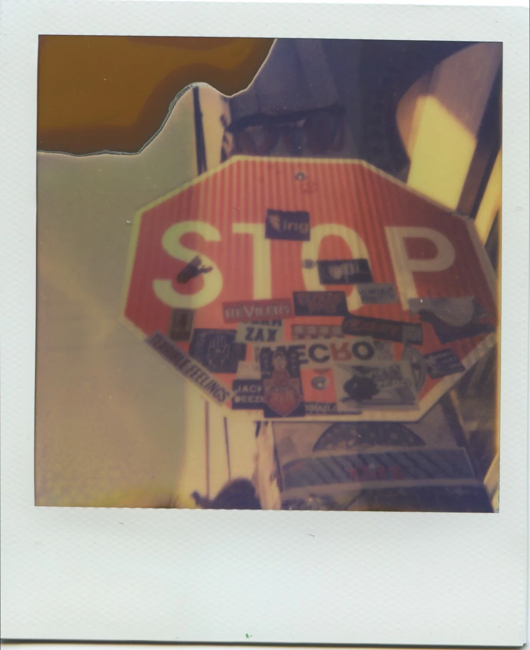 photos 7.jpeg